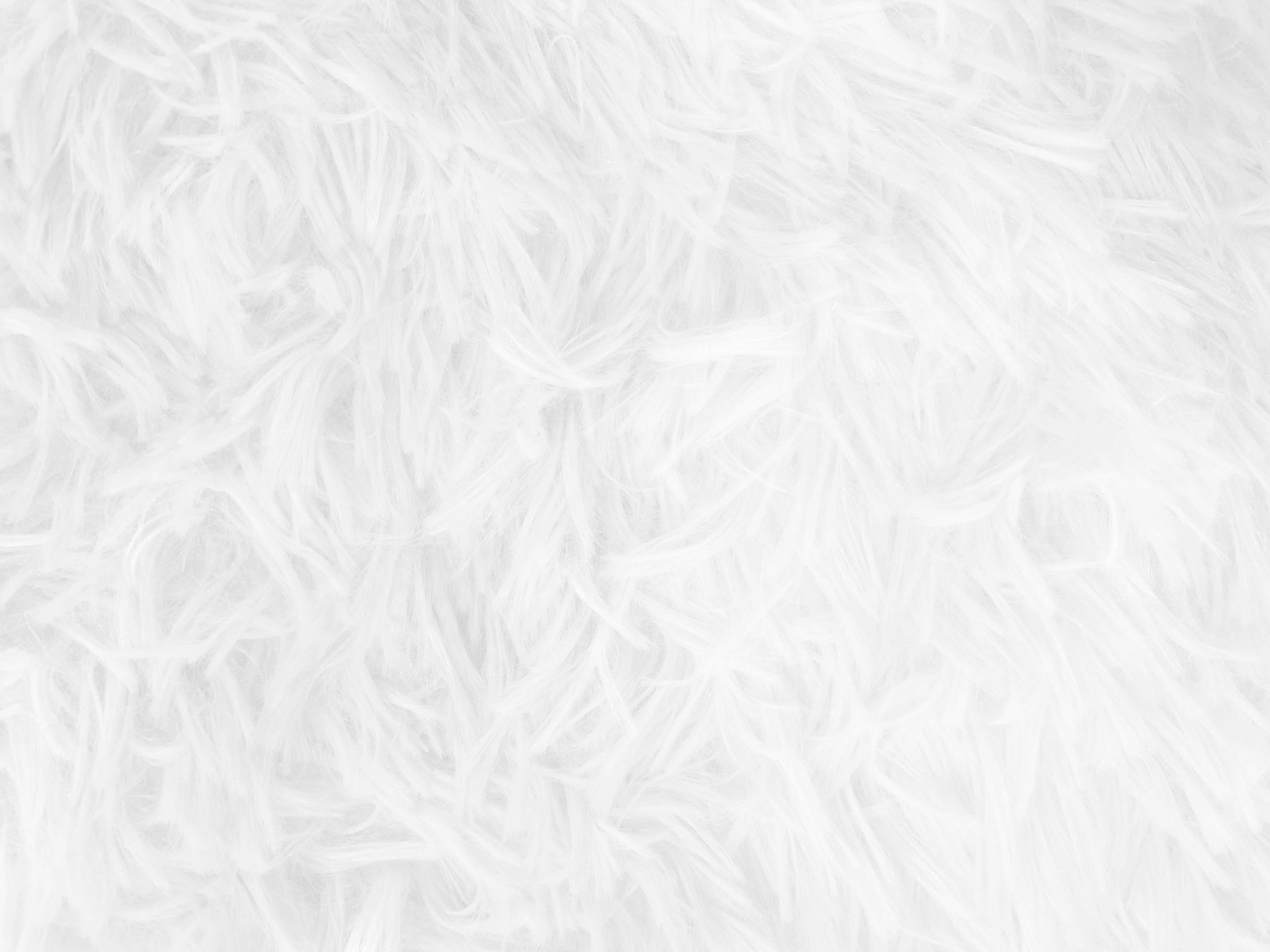 White clean wool texture background. light natural sheep wool. white
