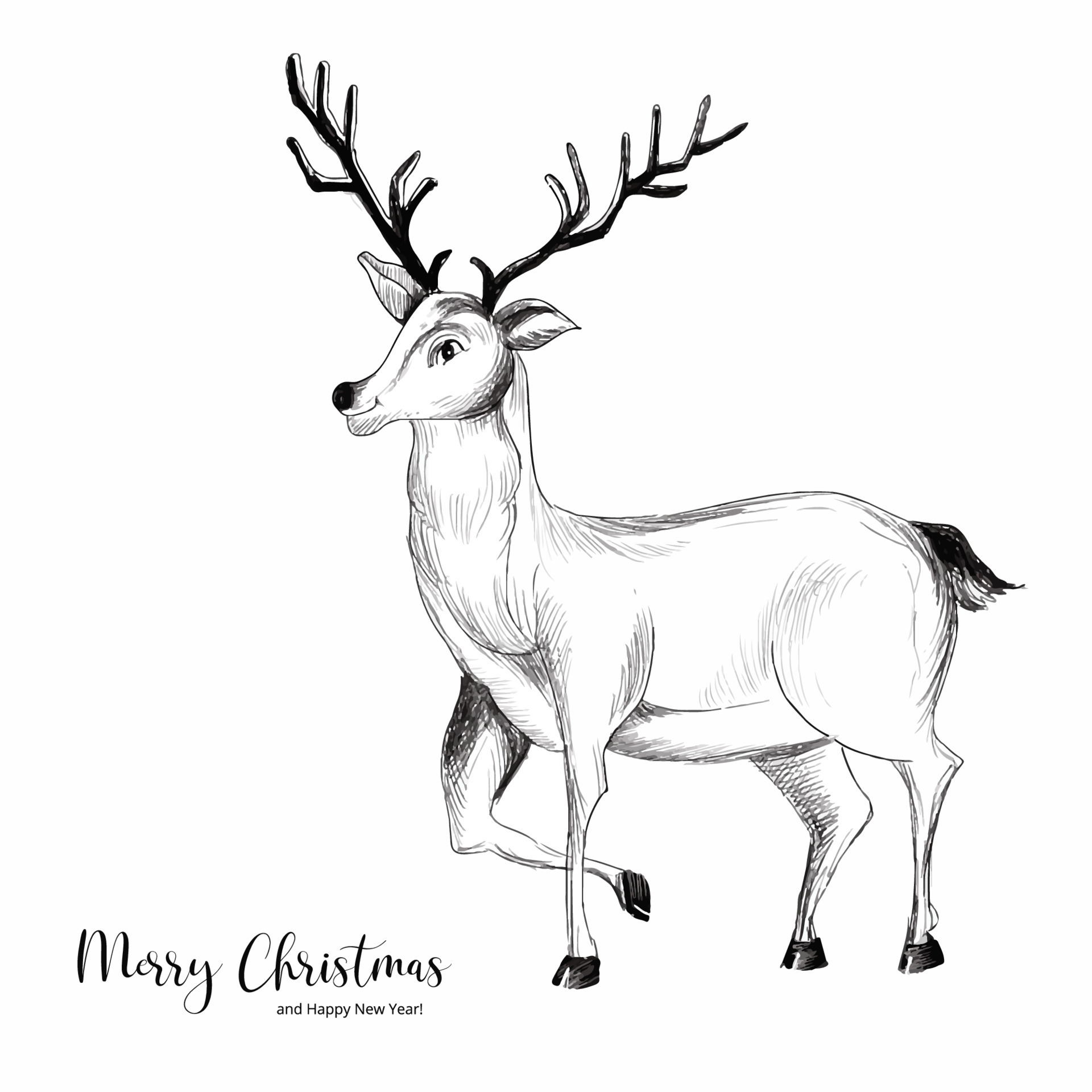 Buy Hand Drawn Doe Drawing Print Black and White Deer Pencil Online in  India  Etsy