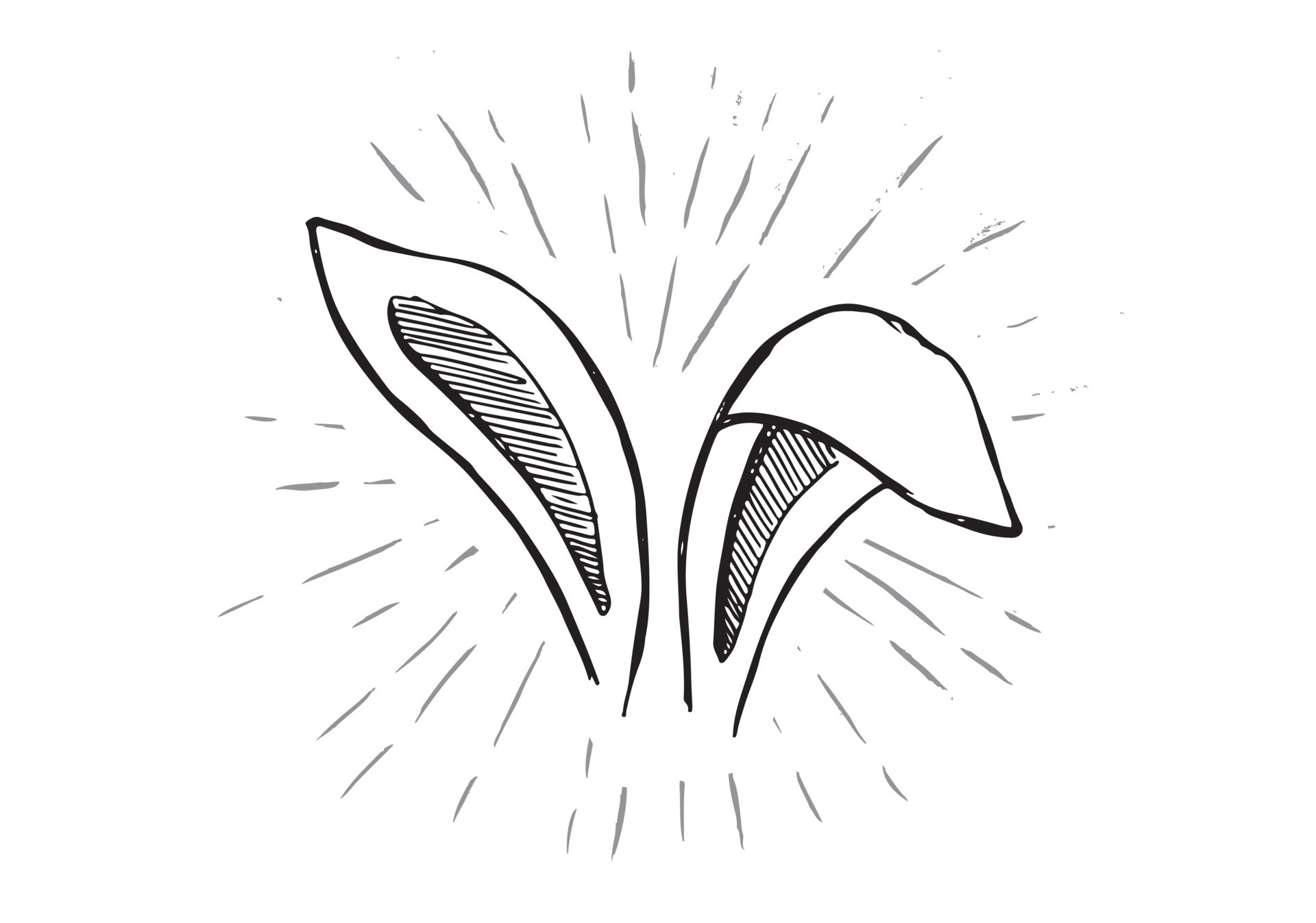 Rabbits ears. Hand drawn illustration. 15238111 Vector Art at Vecteezy