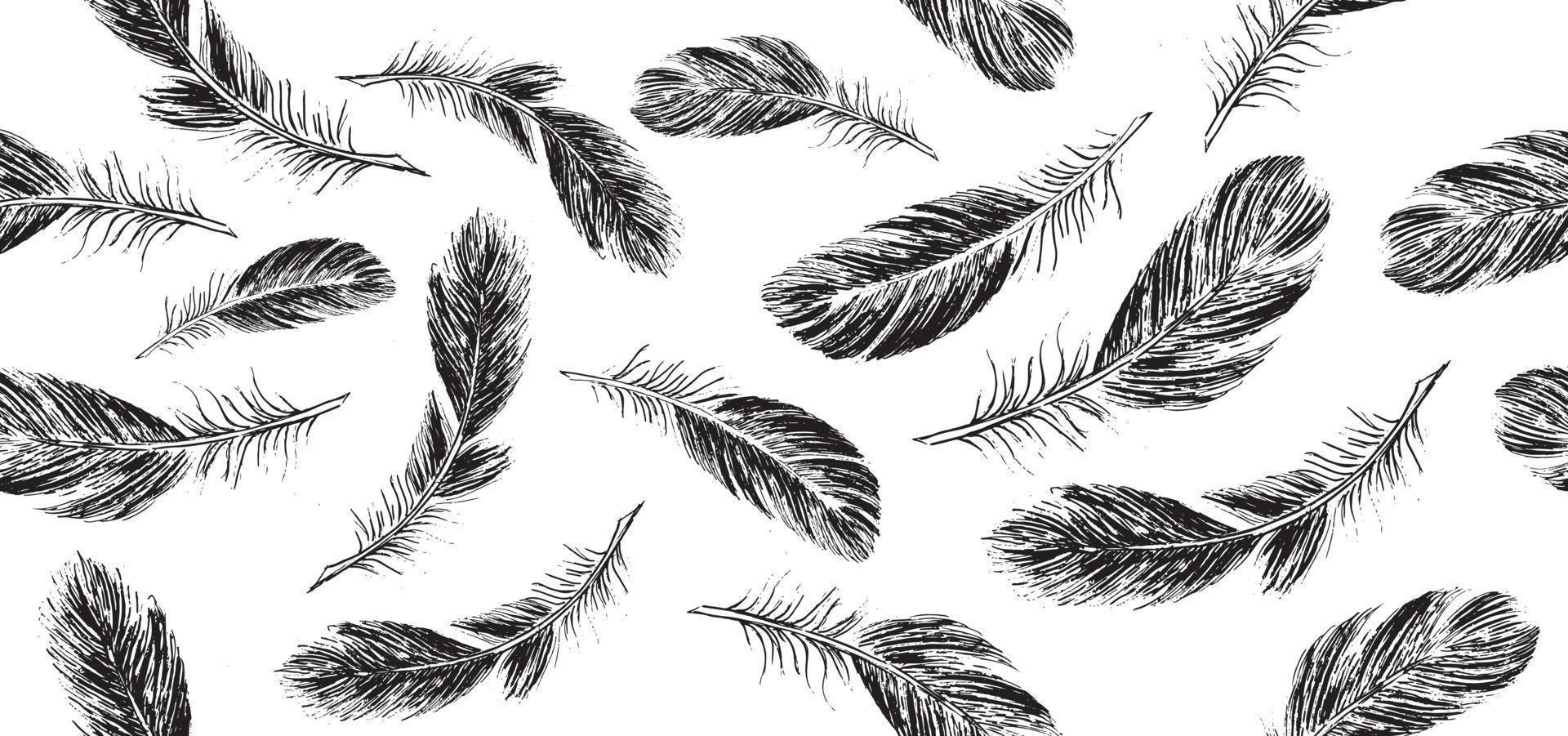Feathers on white background. Hand drawn sketch style. vector