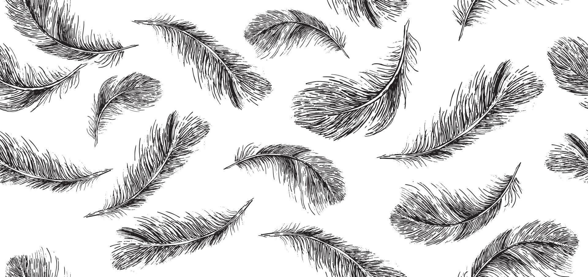 Feathers on white background. Hand drawn sketch style. vector