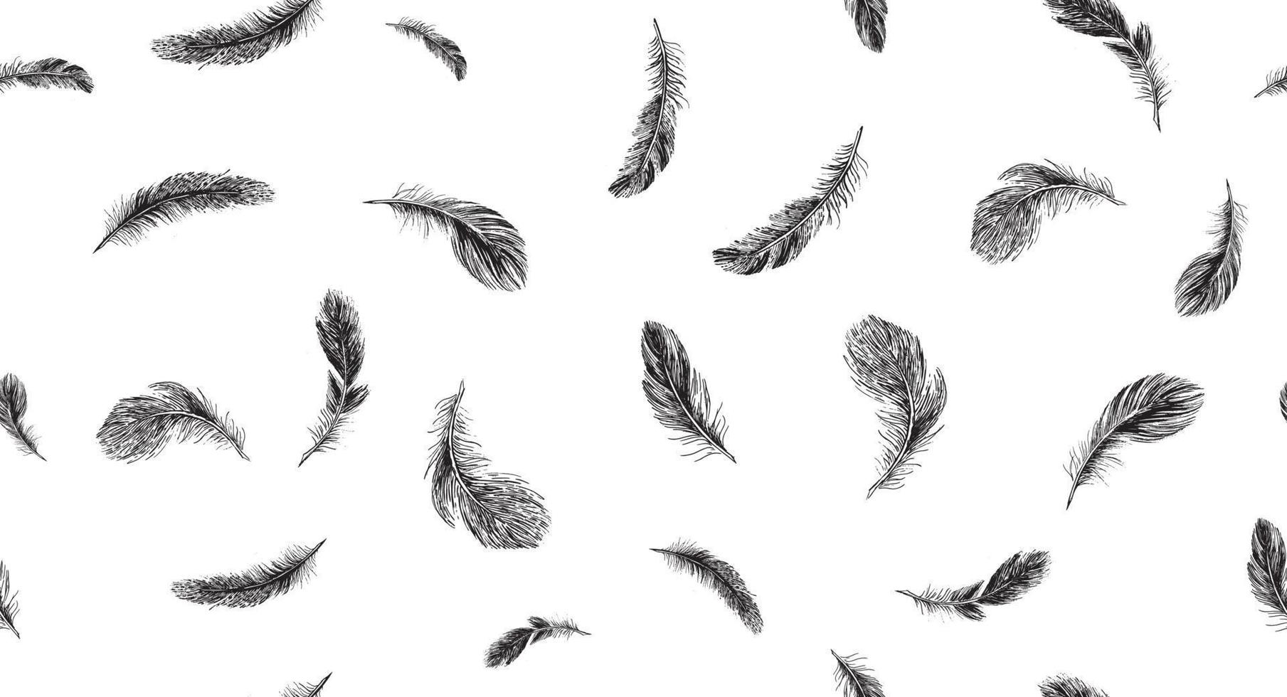 Feathers on white background. Hand drawn sketch style. vector