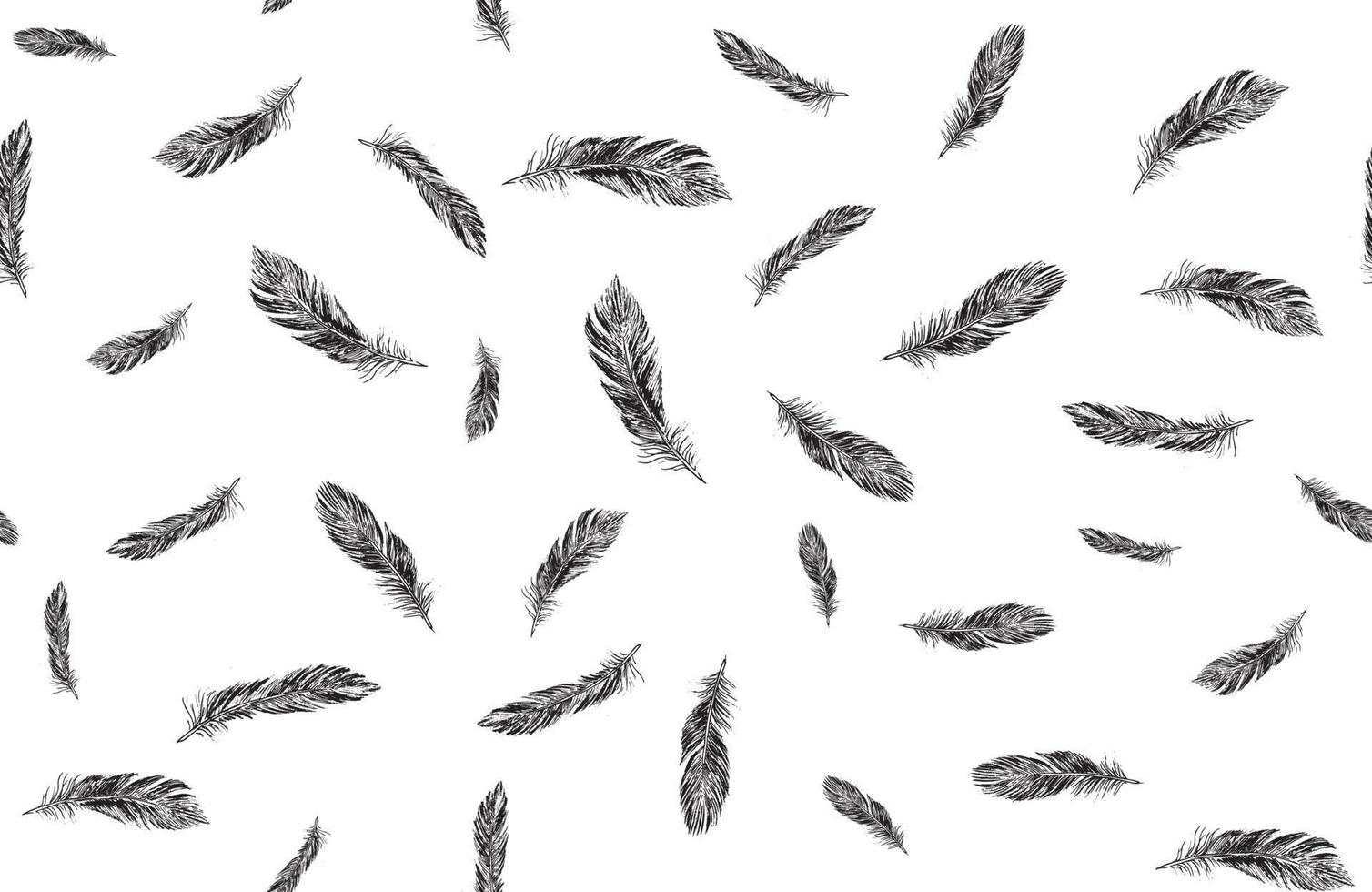 Feathers on white background. Hand drawn sketch style. Vector. vector