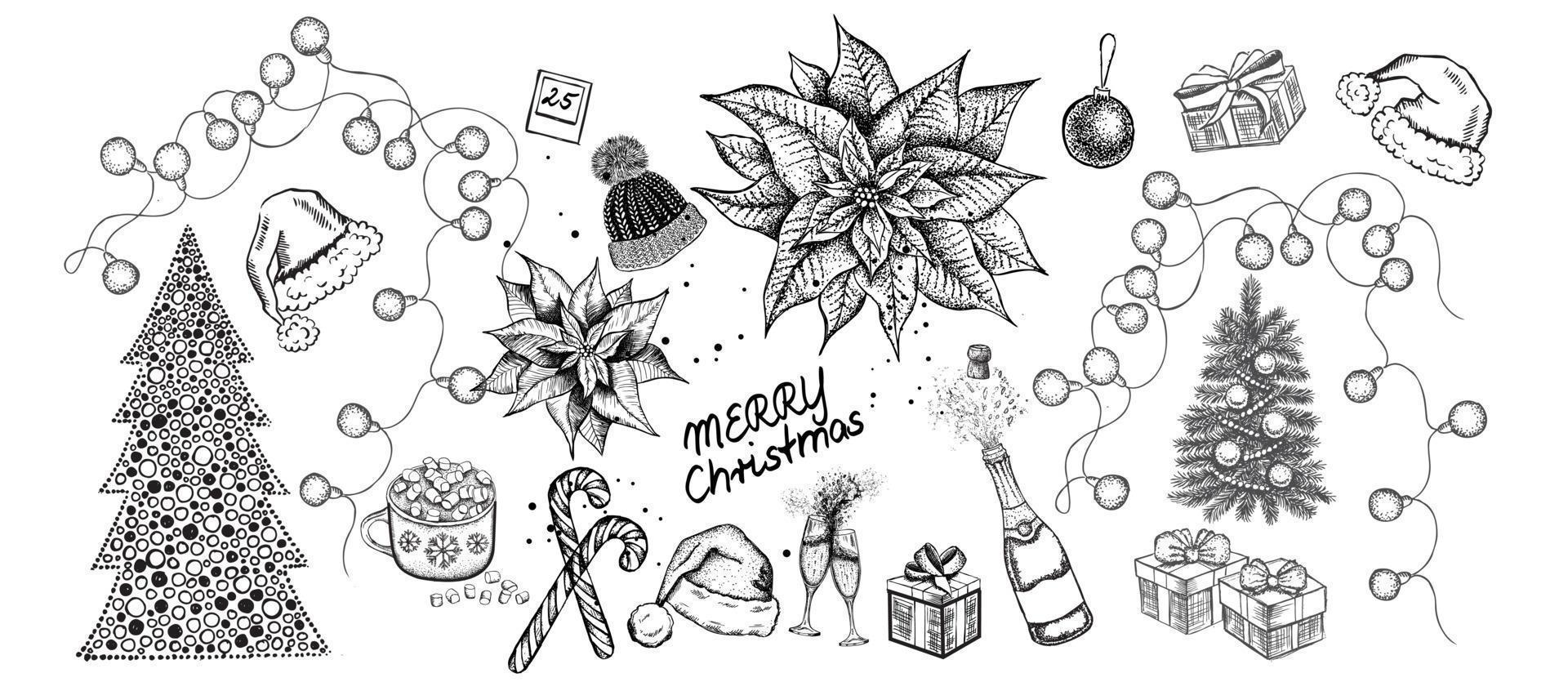 Christmas set. Christmas Poinsettia. Hand drawn illustration. vector