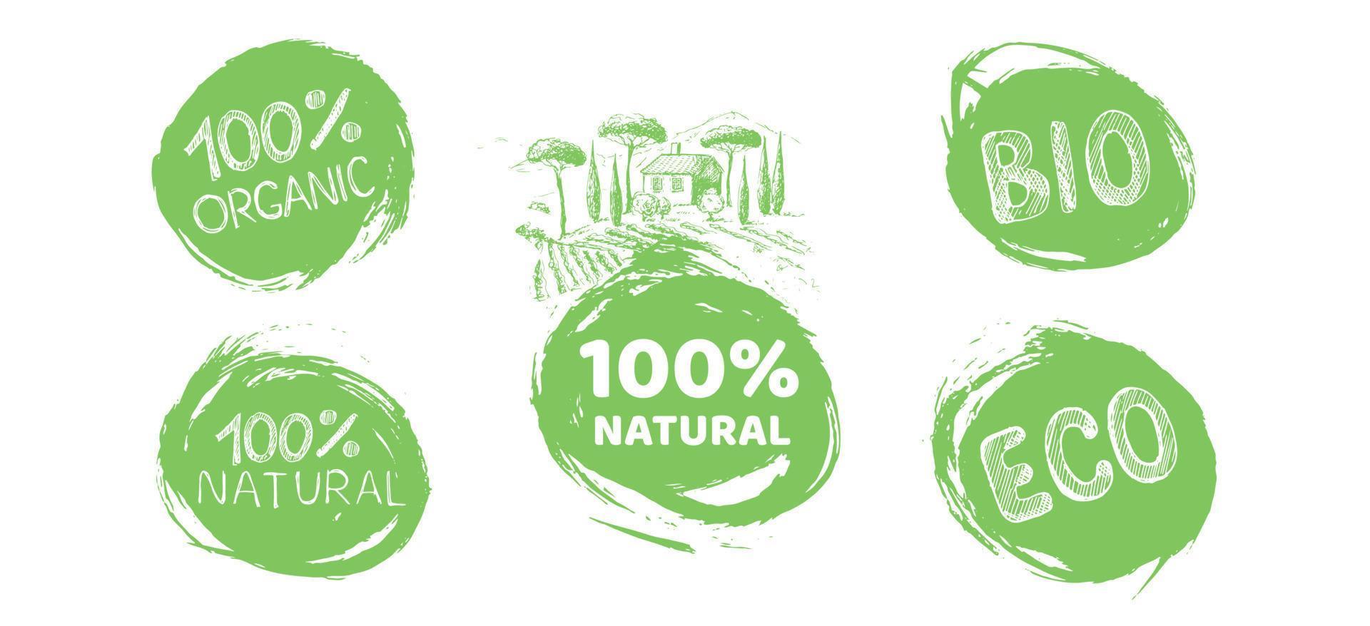 Organic food labels set. Hand drawn illustrations. vector