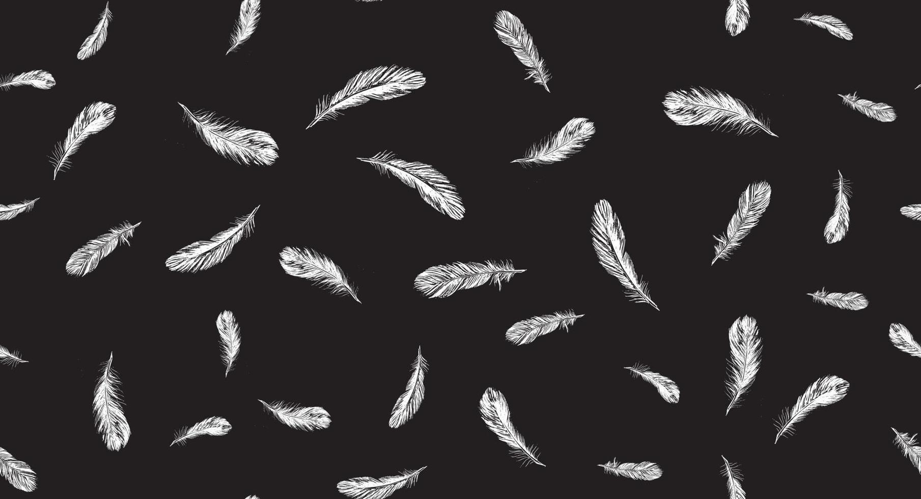 Feathers on white background. Hand drawn sketch style. vector