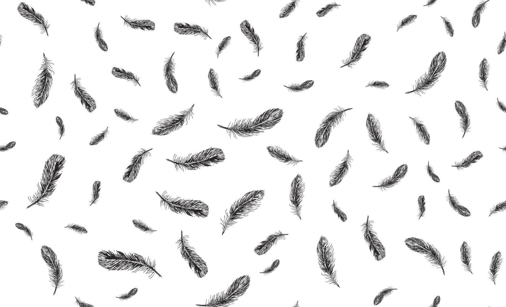 Feathers on white background. Hand drawn sketch style. vector