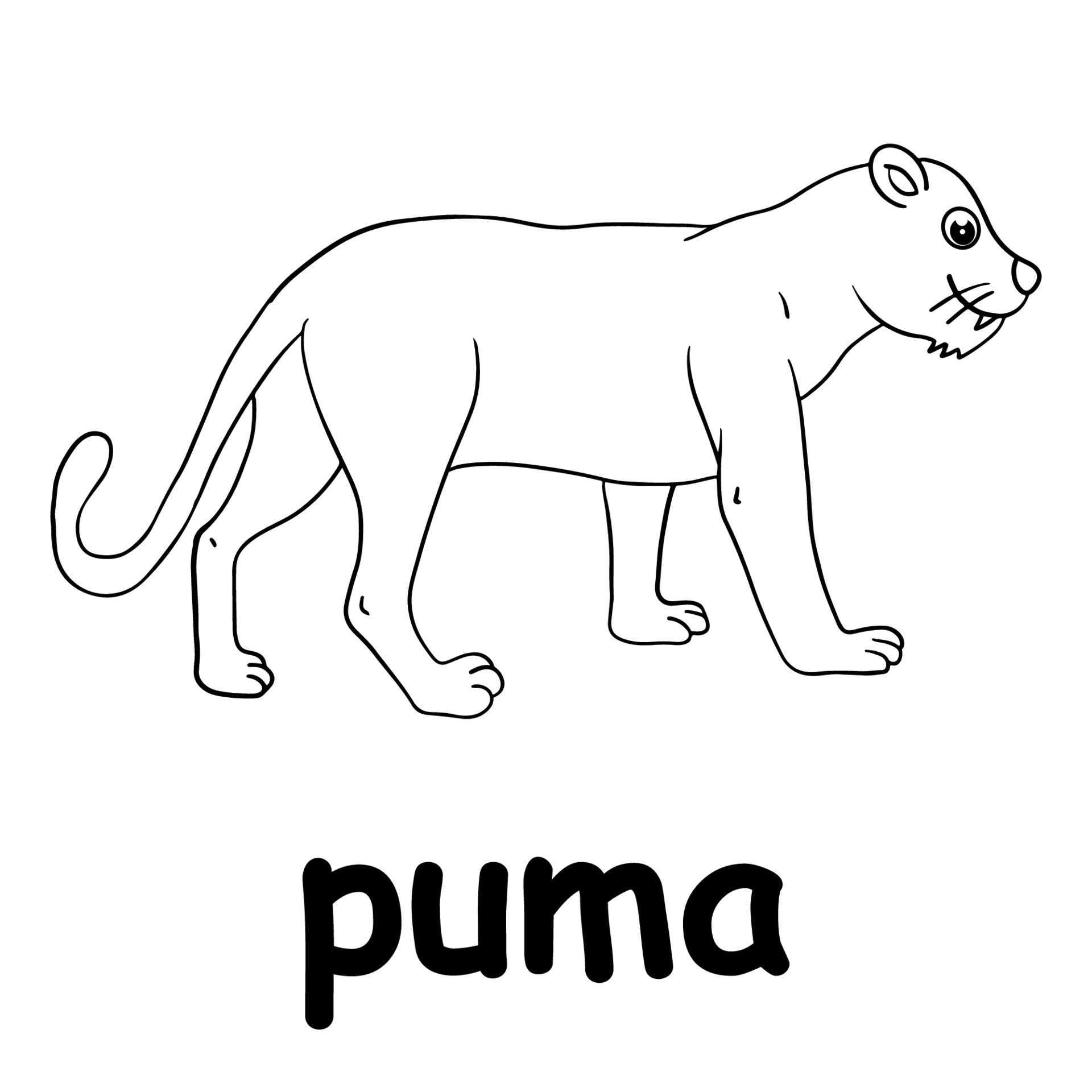 kids line illustration coloring puma. animal outline 15238211 Vector Art at  Vecteezy