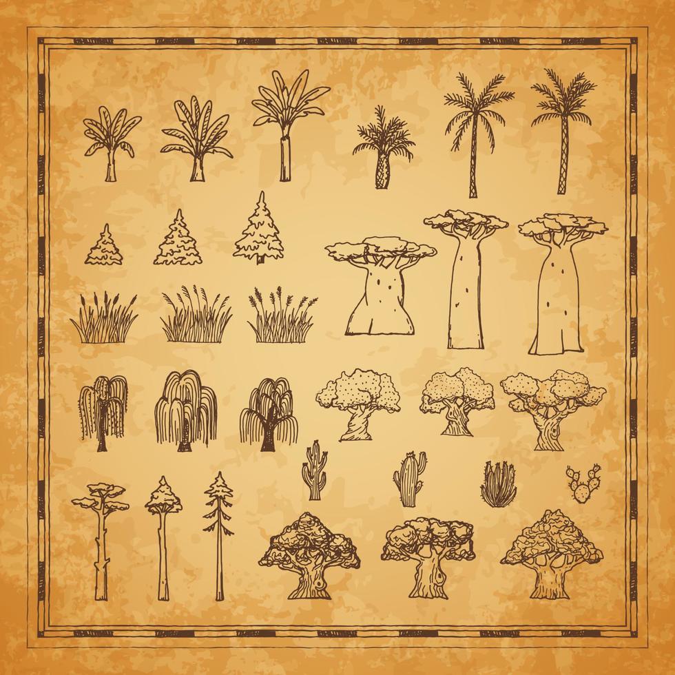mapa vintage plantar árboles, palmeras, baobab y cactus vector