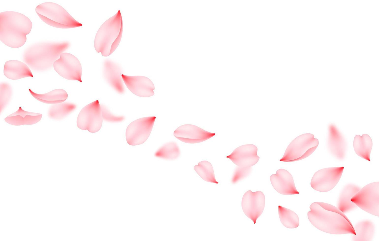 Flying sakura vector background. Pink cherry petal