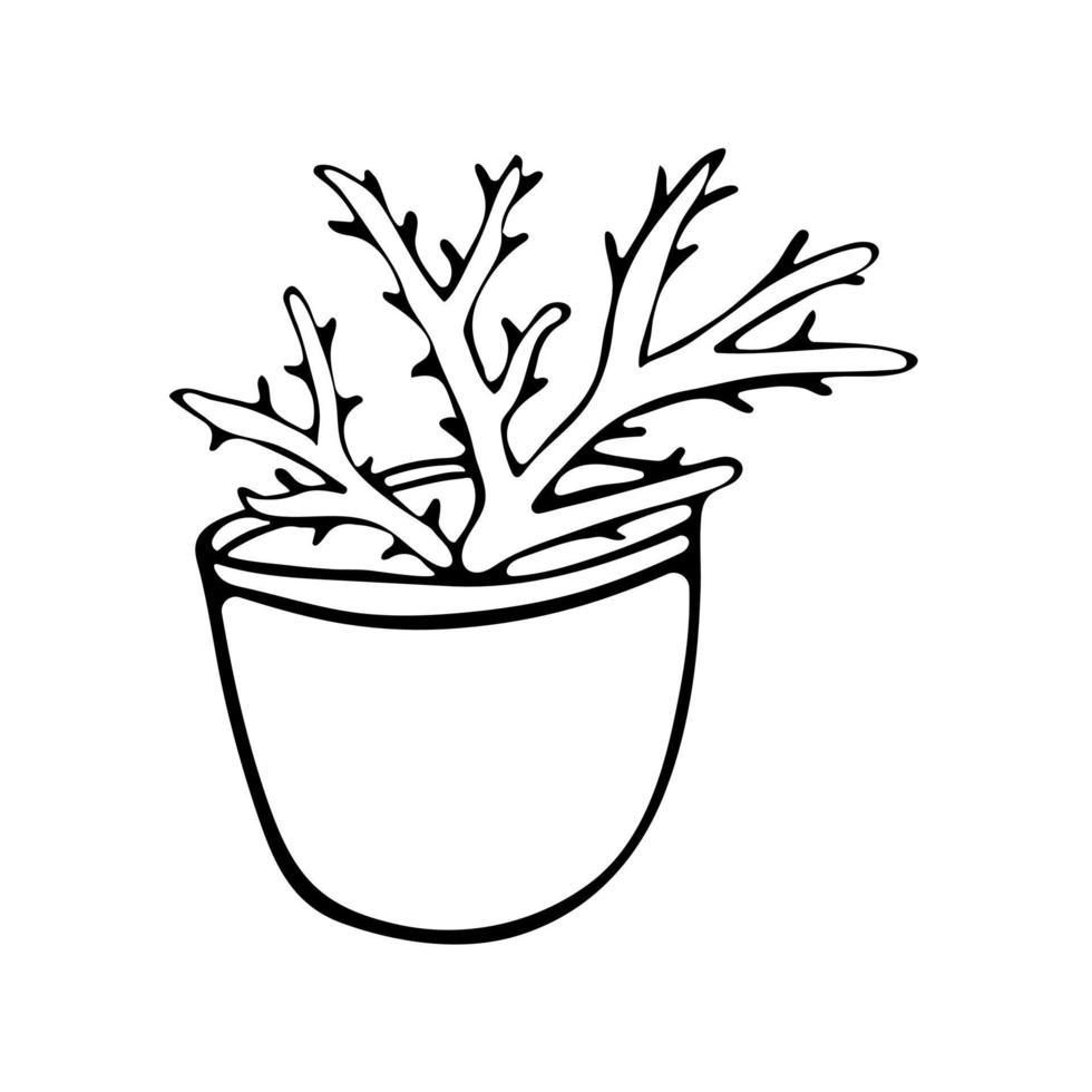 Scarlet flower in pot black and white vector icon