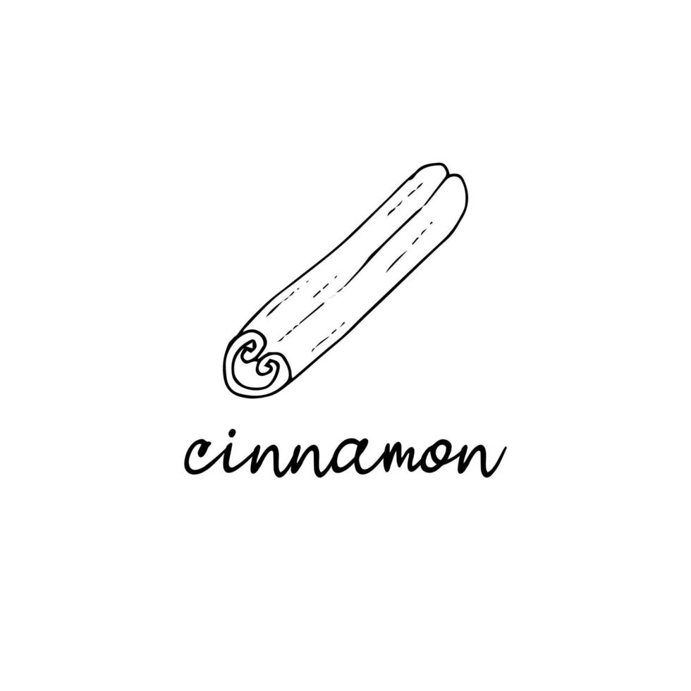 Cinnamon stick spice in the style of doodle vector