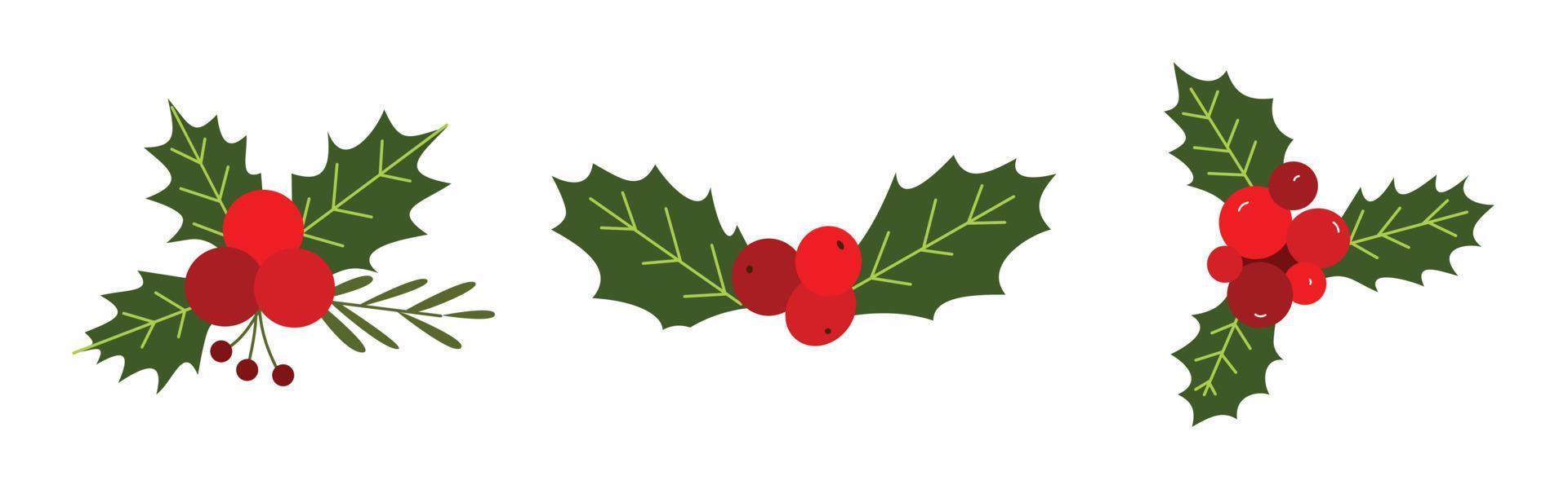 Set of berries illustration for Christmas and New Year's Day decorations. Collection of wreaths for winter celebration ornaments vector