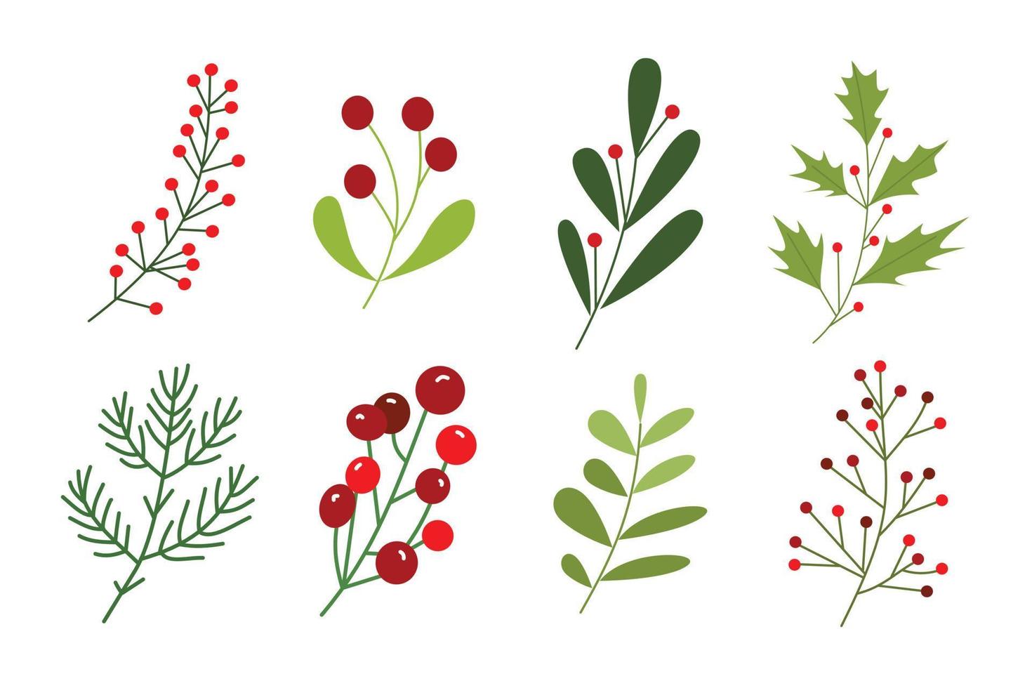 Set of winter leaf and berries illustration for design element. Vintage floral hand drawn ornament for Christmas design vector