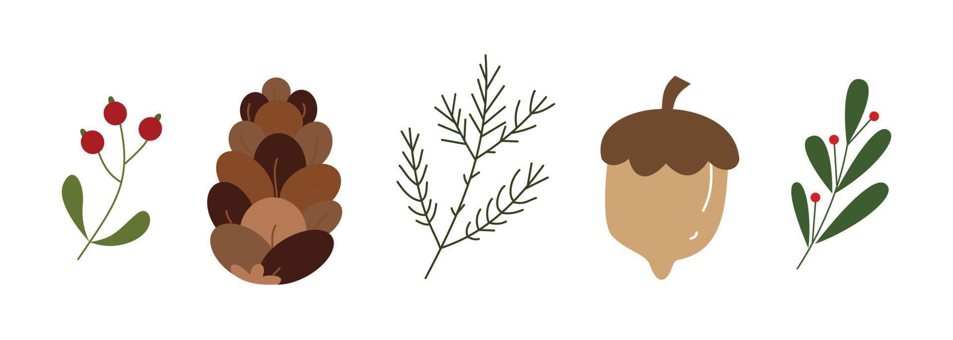 Illustration of winter and Christmas plants for design element. Collection of pine, berries and leaves for Christmas celebration. vector