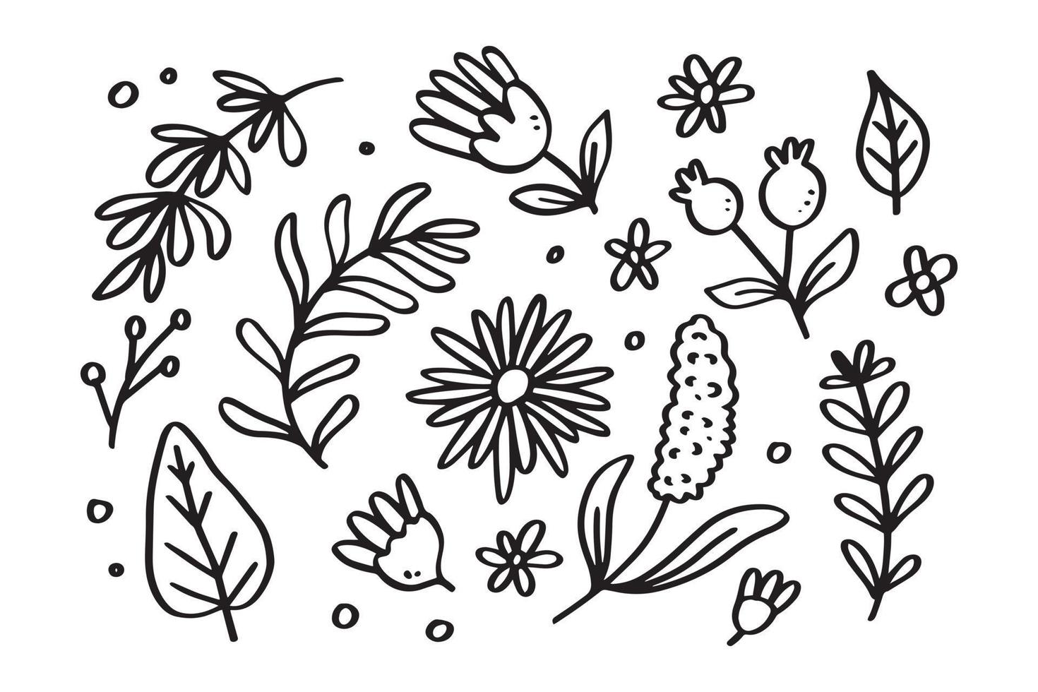 Set of Spring floral hand drawn line art illustration for ornament and design element vector