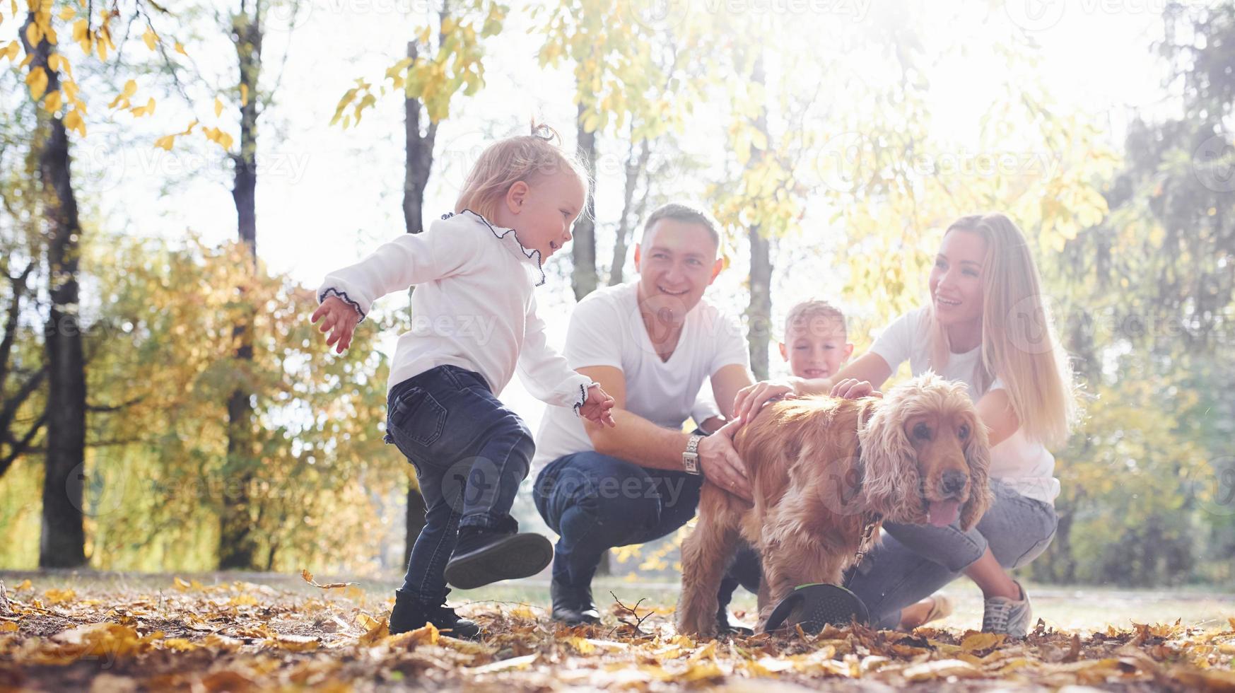 Cheerful young family with dog have a rest in an autumn park together photo