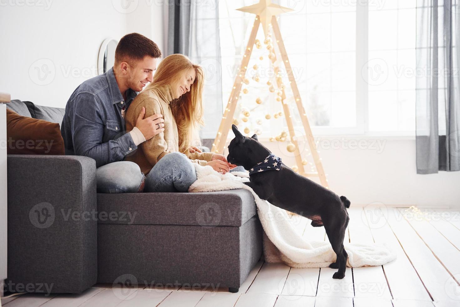 feliz joven pareja moderna sentada en el sofá en casa con árbol de navidad con su lindo perro foto