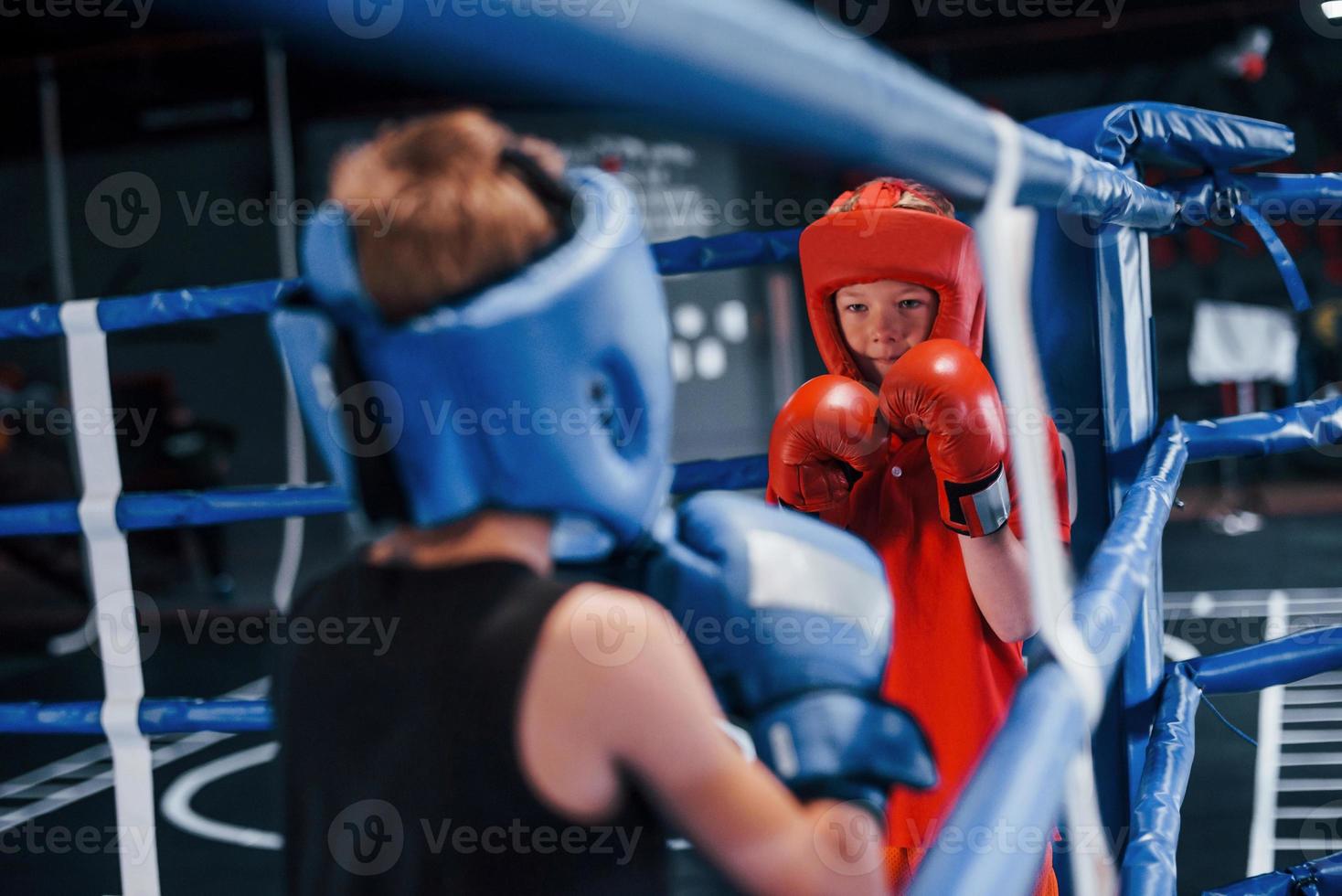 Two boys in protective equipment have sparring and fighting on the boxing ring photo