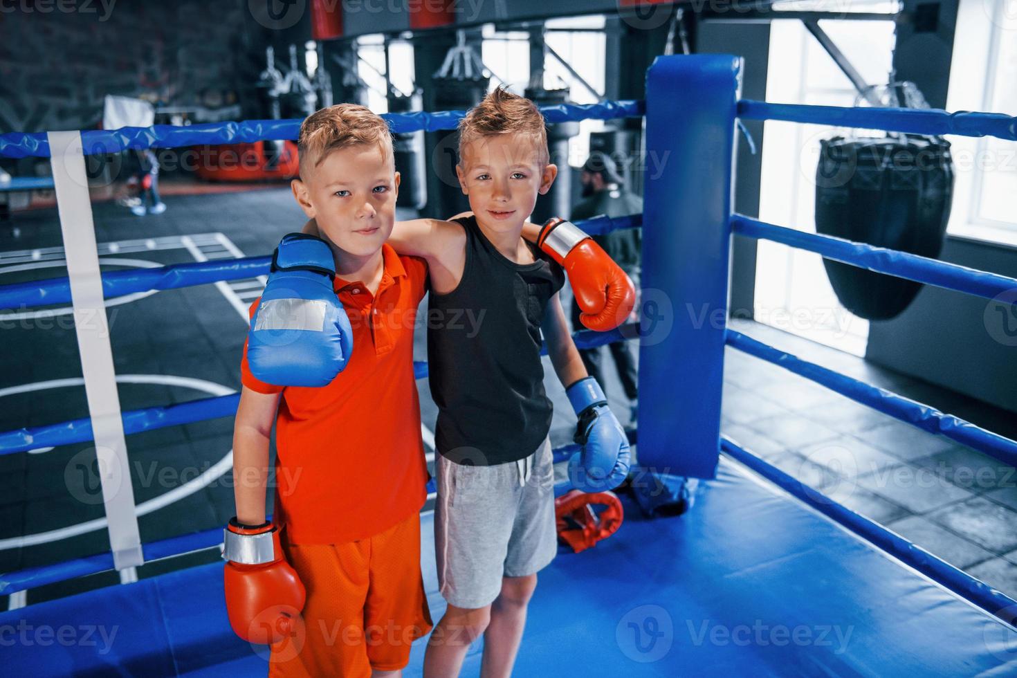 retrato, de, dos, niños jóvenes, en, guantes protectores, posición, juntos, en, anillo de boxeo foto