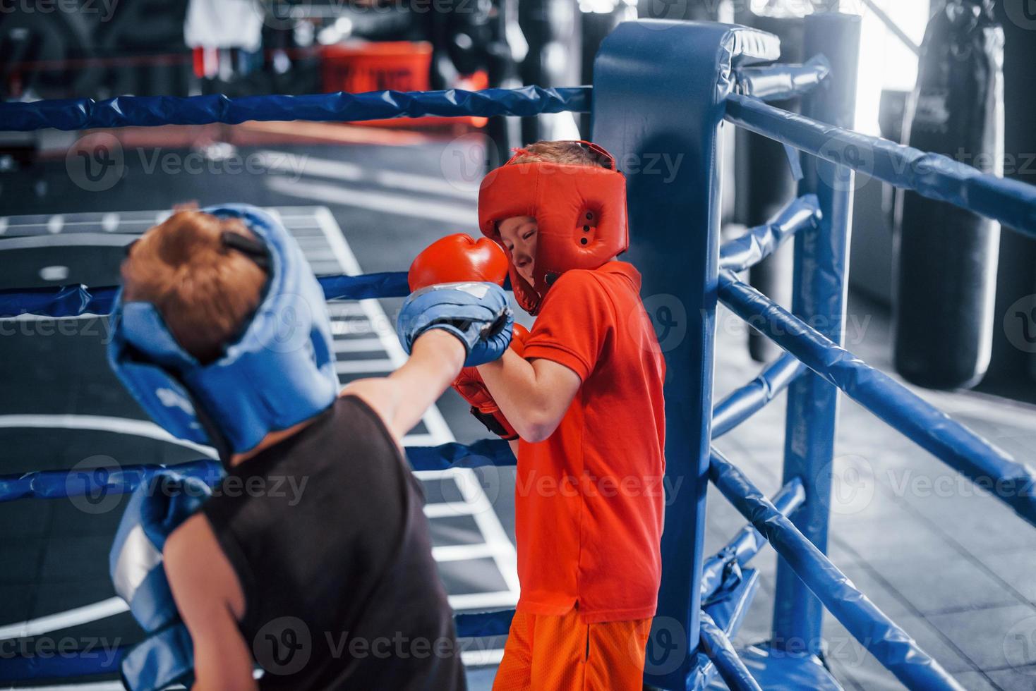 Two boys in protective equipment have sparring and fighting on the boxing ring photo