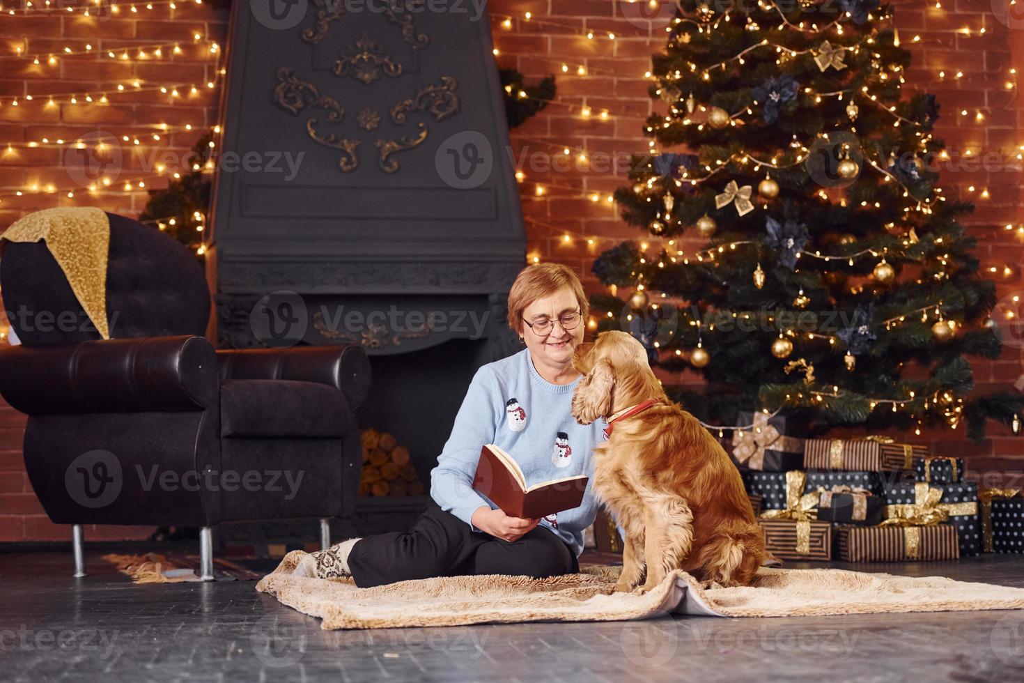Grandmother with book in hand indoors with dog in christmas decorated room photo