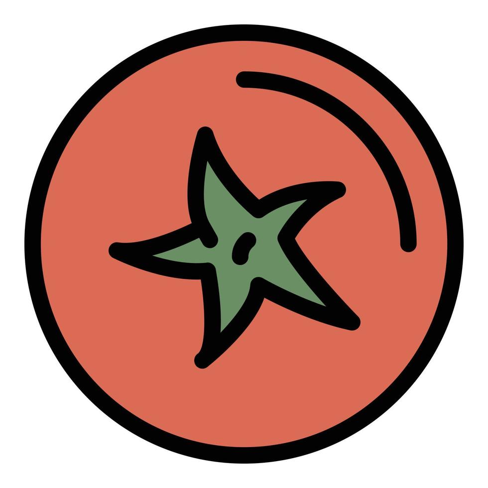 Top view tomato icon color outline vector