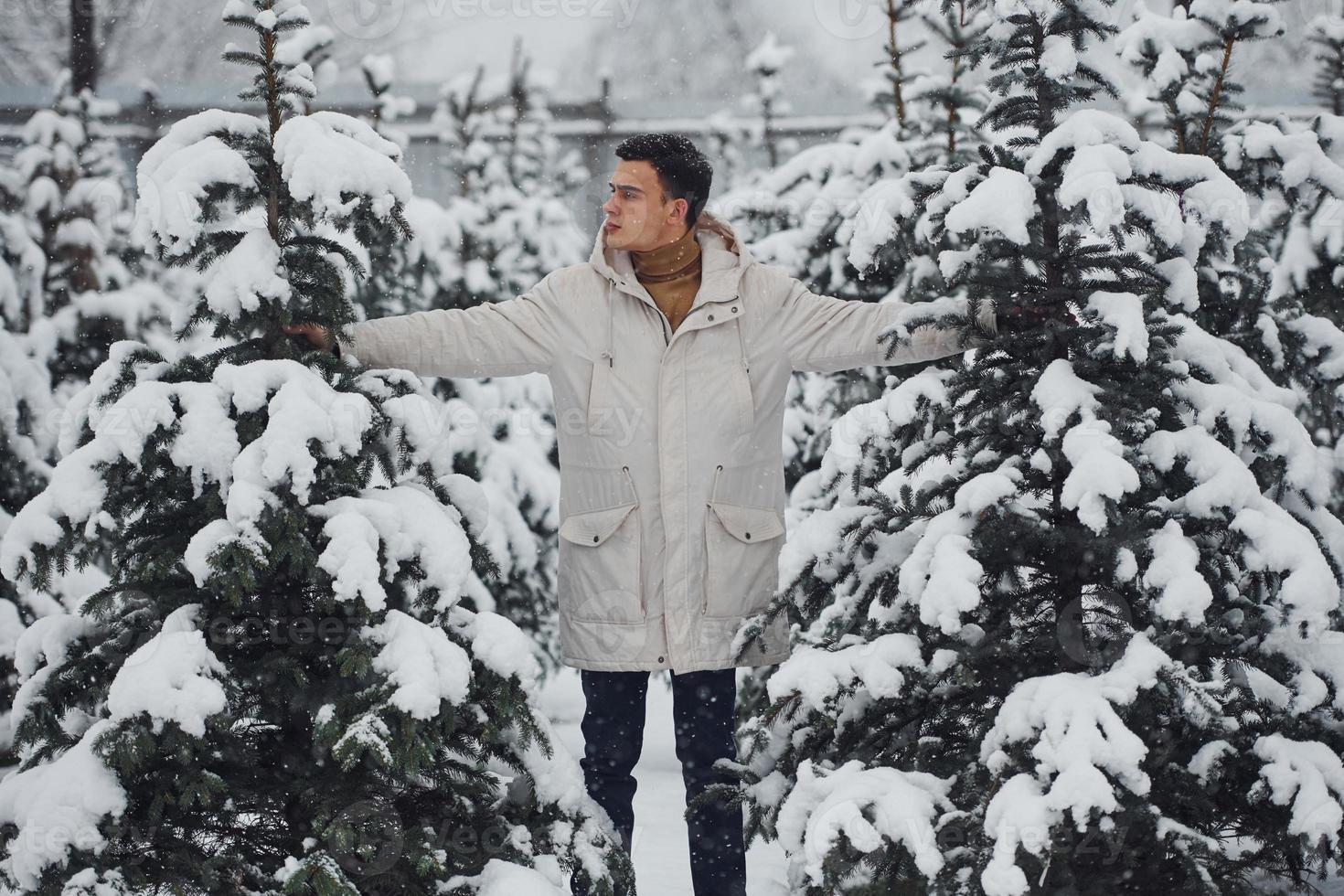 Young stylish man in warm coat looking for a fir tree outdoors for celebrating christmas and new year photo