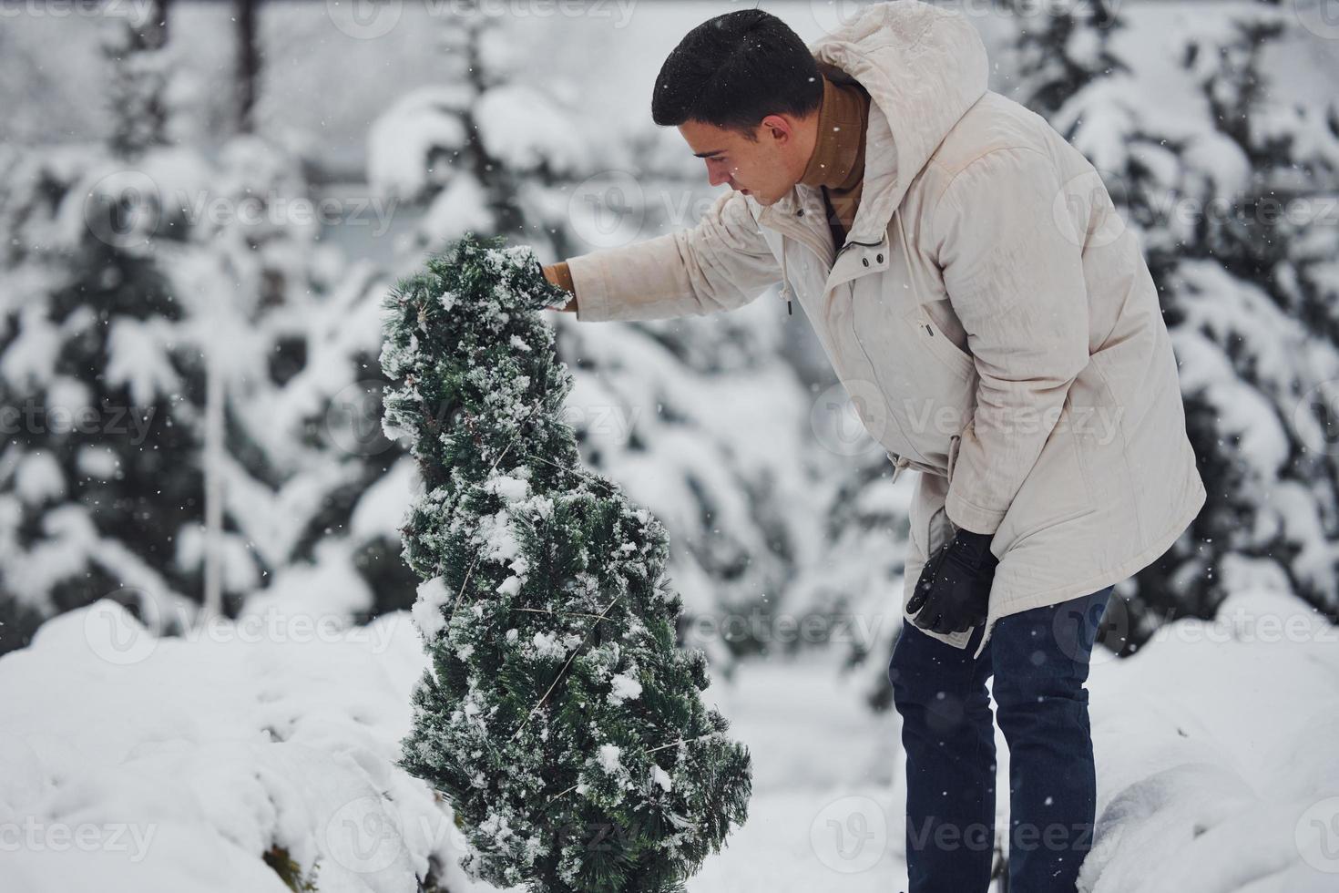 Young stylish man in warm coat looking for a fir tree outdoors for celebrating christmas and new year photo