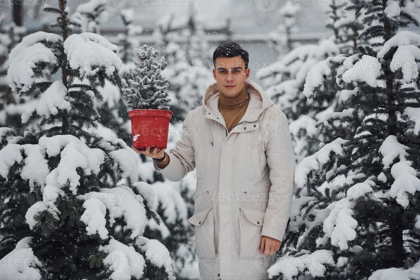 Handsome young man in warm coat holding red pot with fir tree outdoors at daytime photo