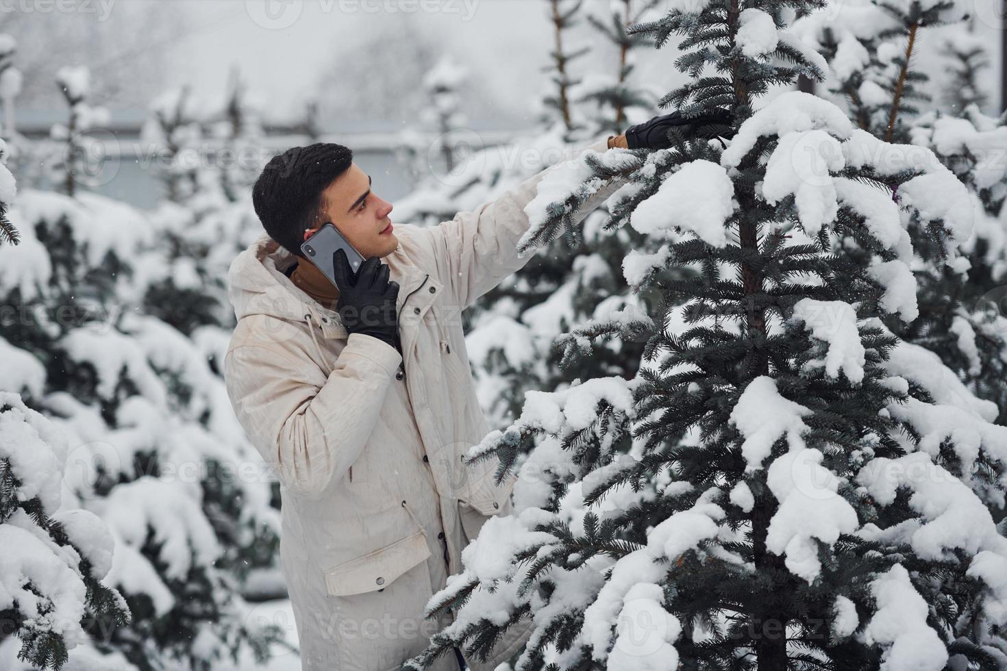 Man walking outdoors, talking by the phone and choosing christmas tree photo