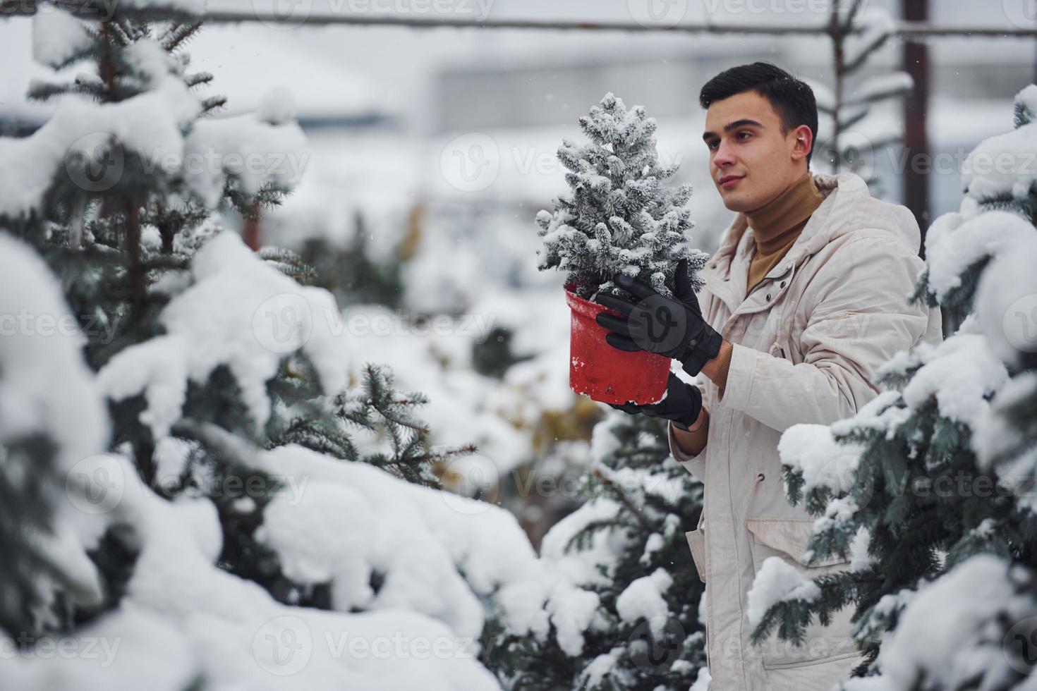 Handsome young man in warm coat holding red pot with fir tree outdoors at daytime photo