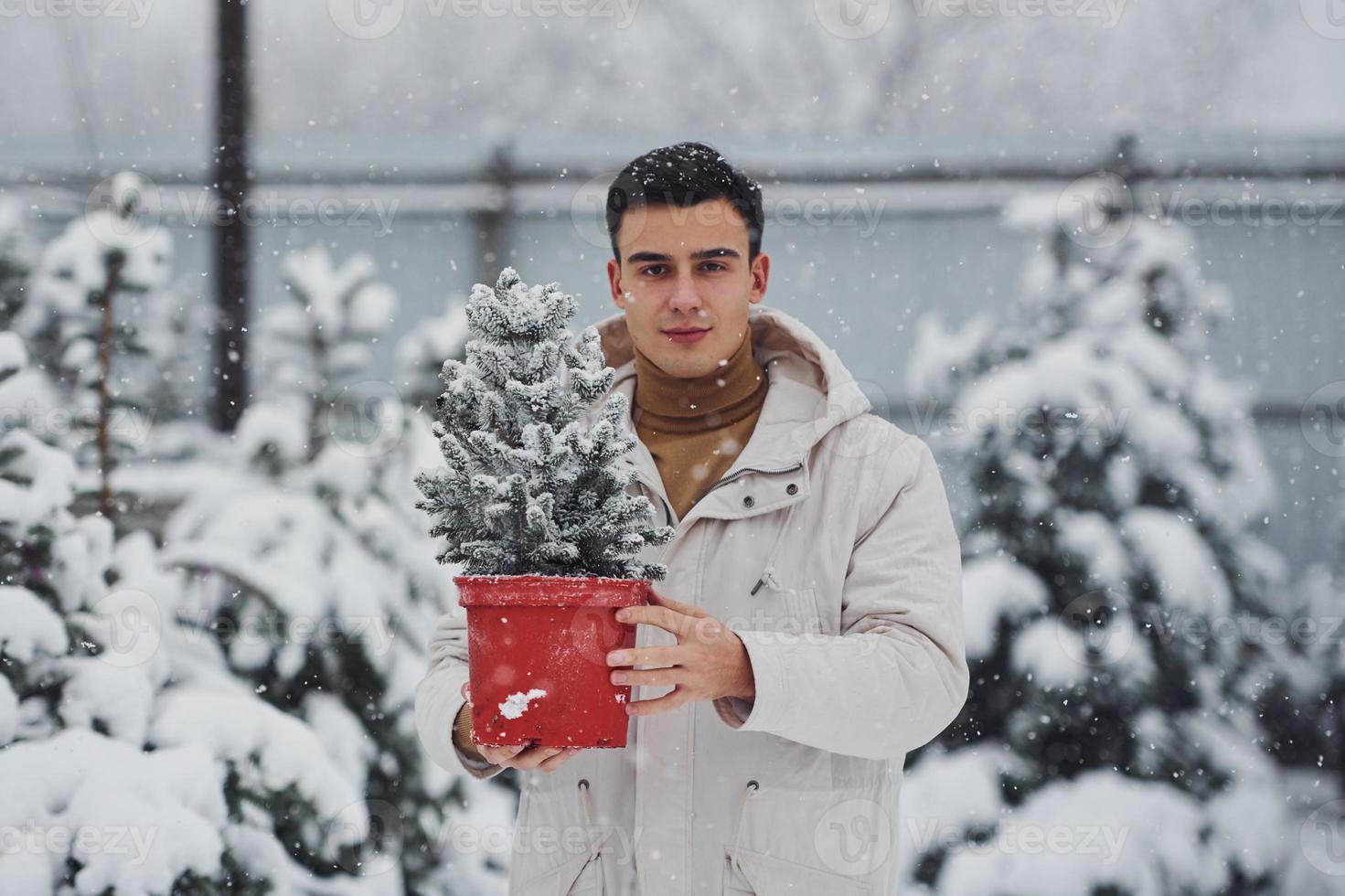 Handsome young man in warm coat holding red pot with fir tree outdoors at daytime photo