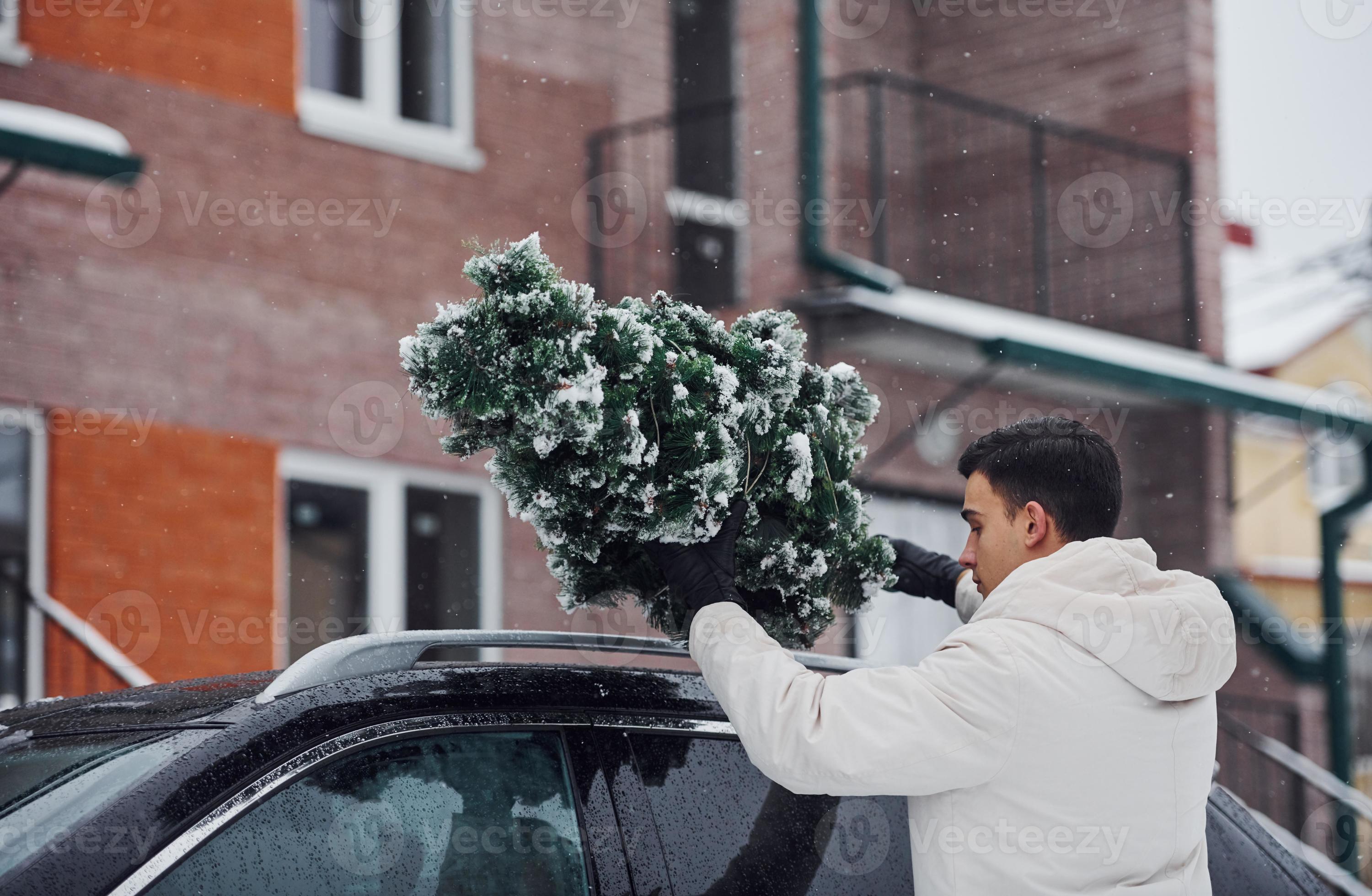 Man in white wear putting christmas fir tree on the top of his car