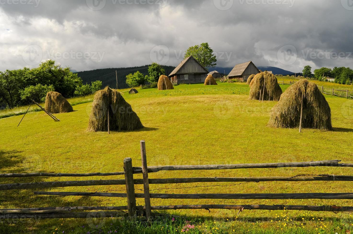 Field with haystack photo