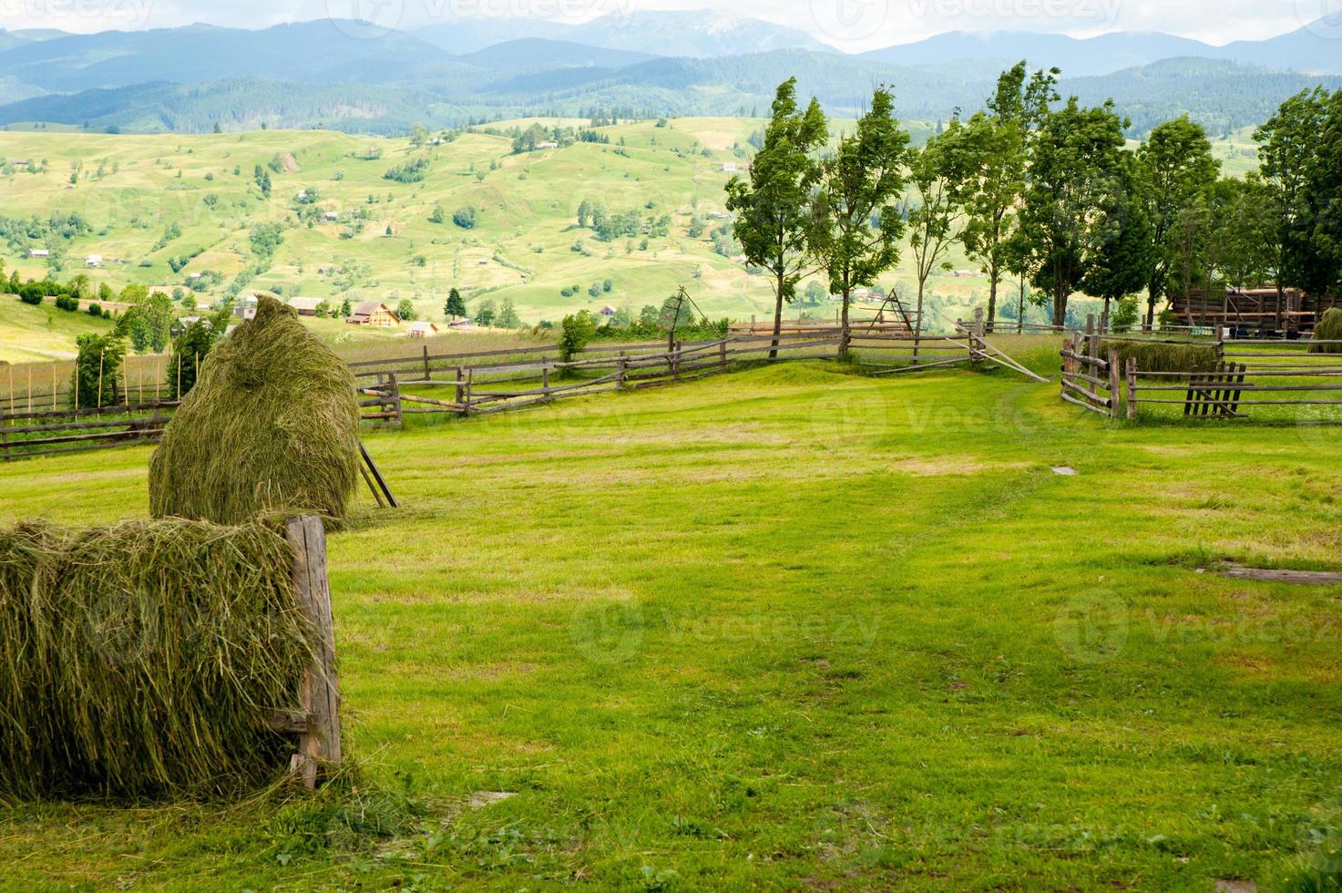 Field with haystack on mountains photo