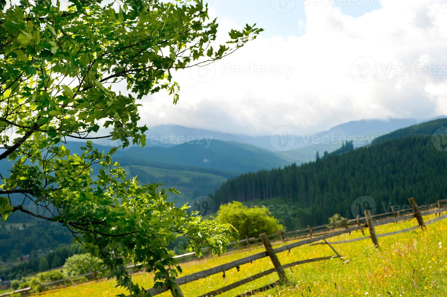 Field with haystack on mountains photo