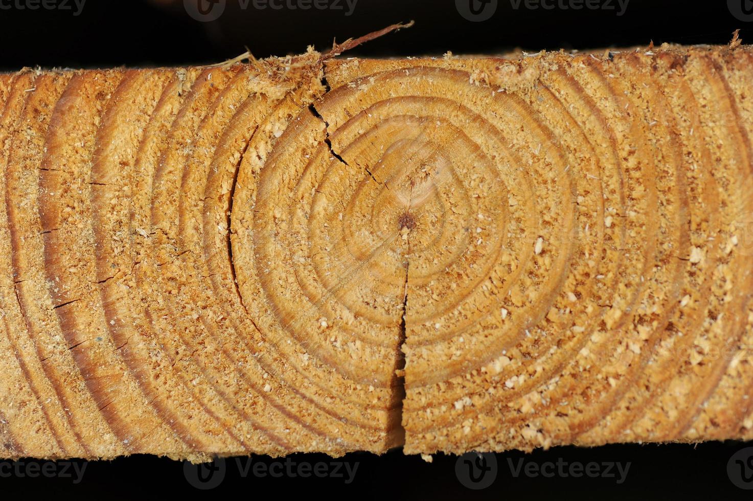 Macro texture wood photo