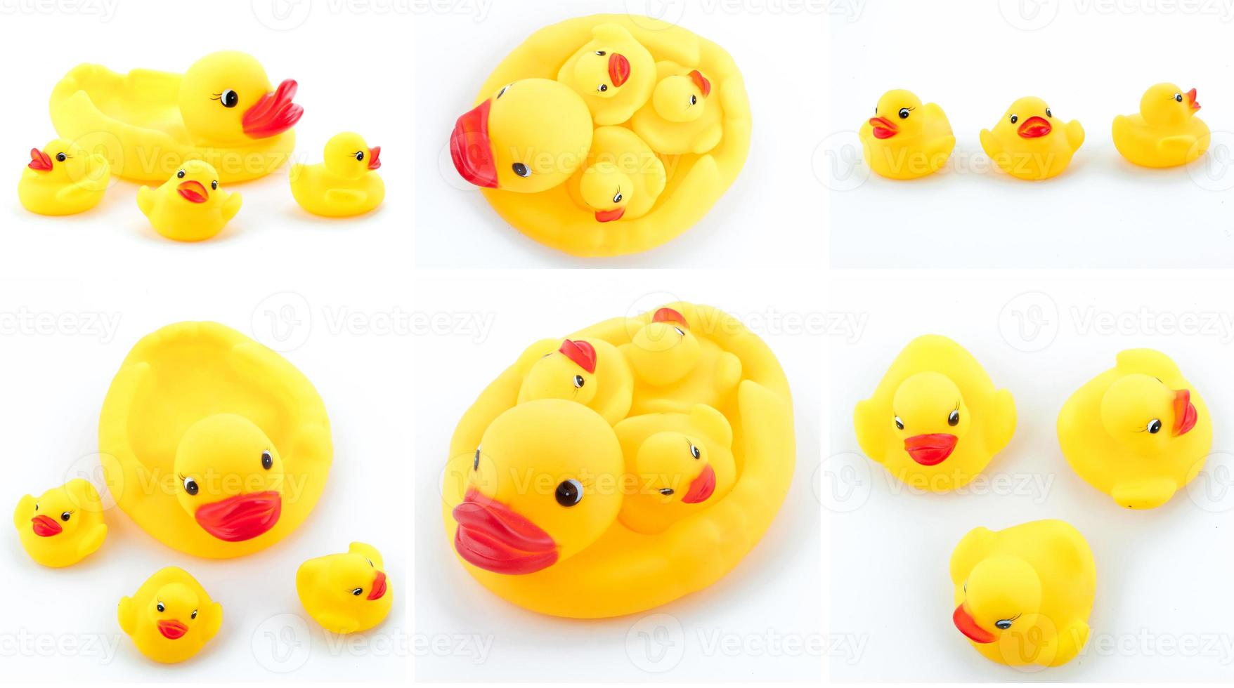 rubber ducks isolated photo