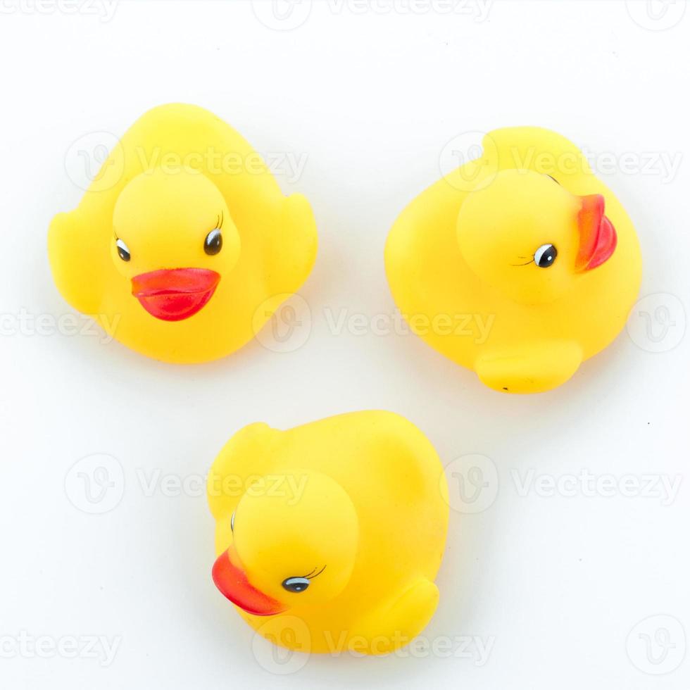 Family duck toy photo