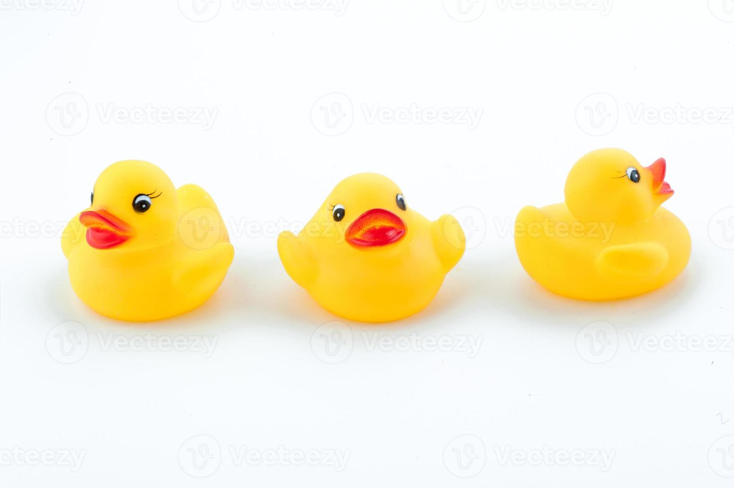 Family duck toy photo