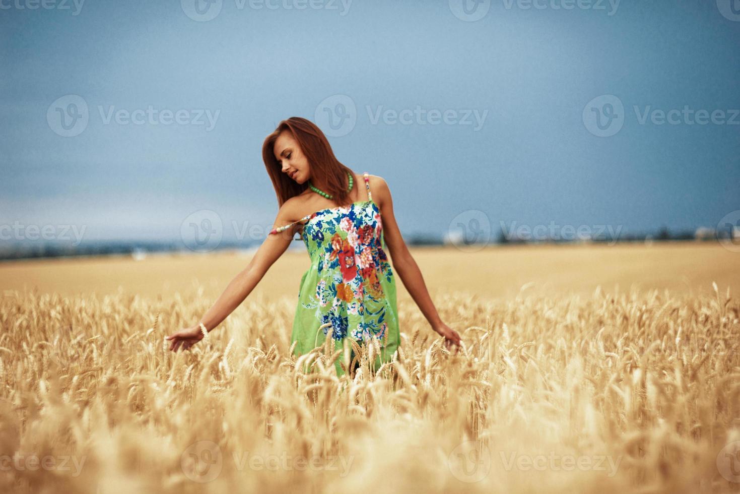 girl in wheat meadow photo