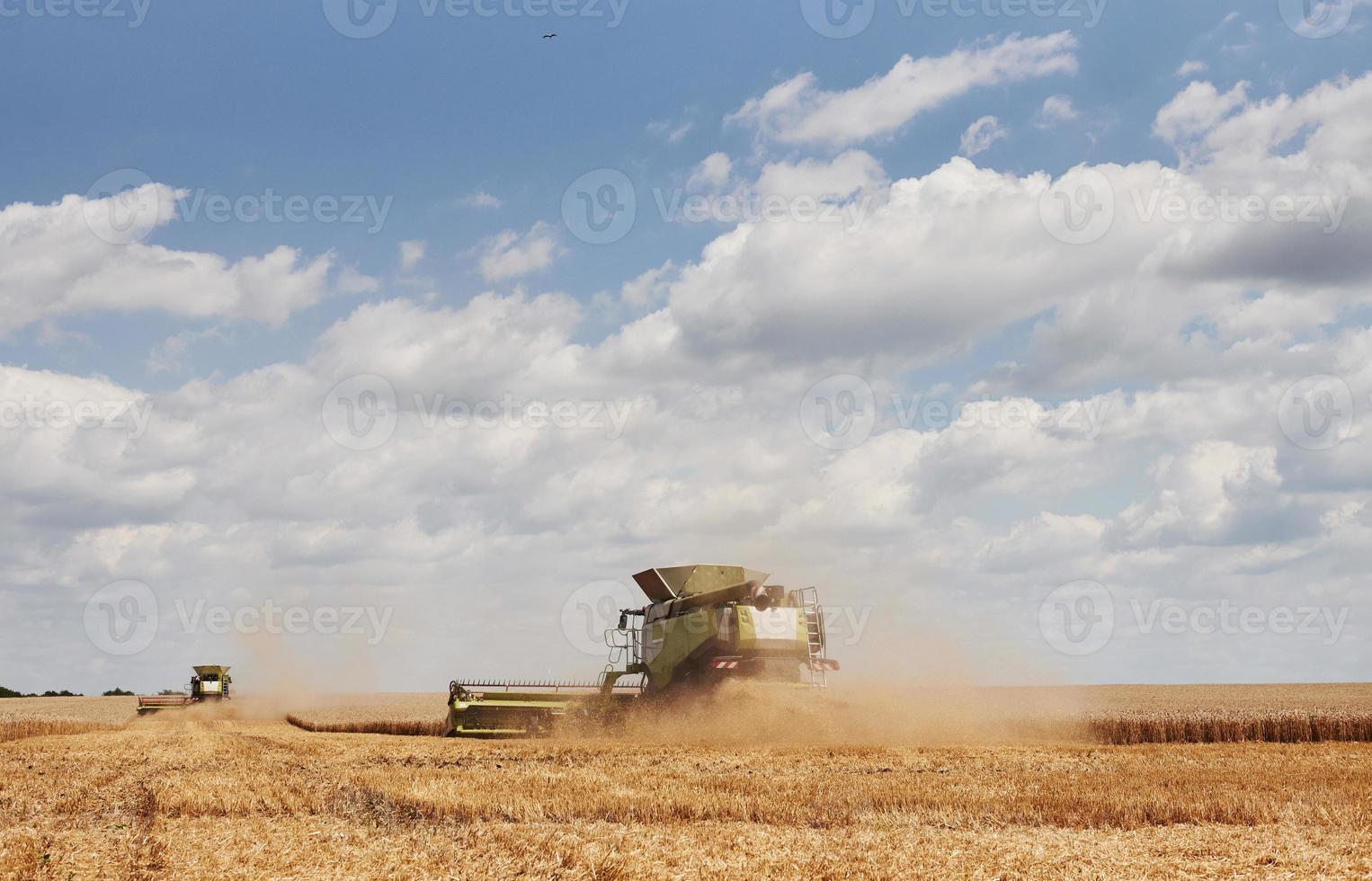 cosechadoras grandes que trabajan en el campo agrícola en verano foto