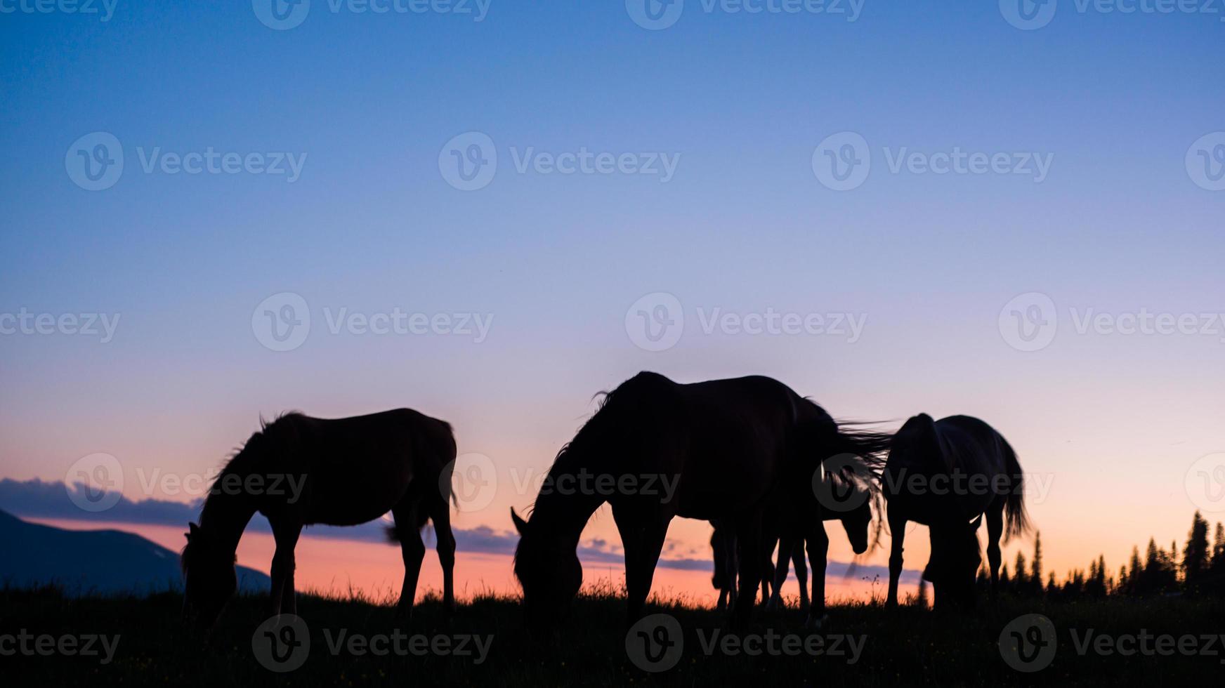 Riding in the Carpathians photo