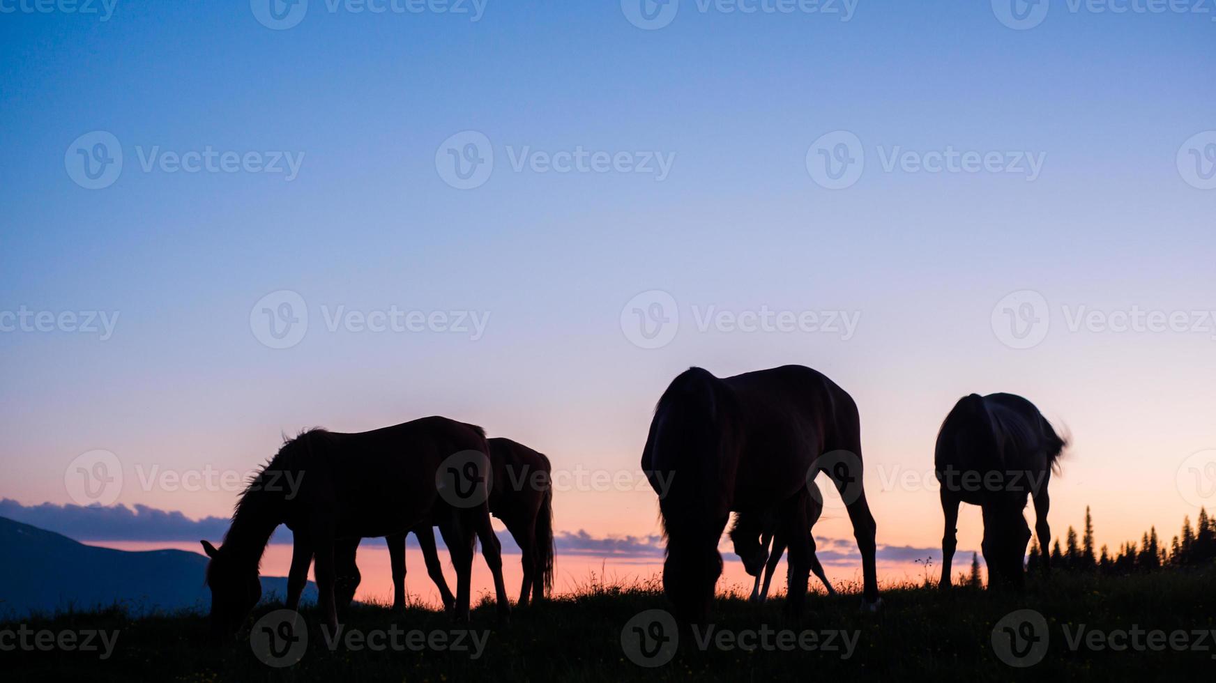 Riding in the Carpathians photo