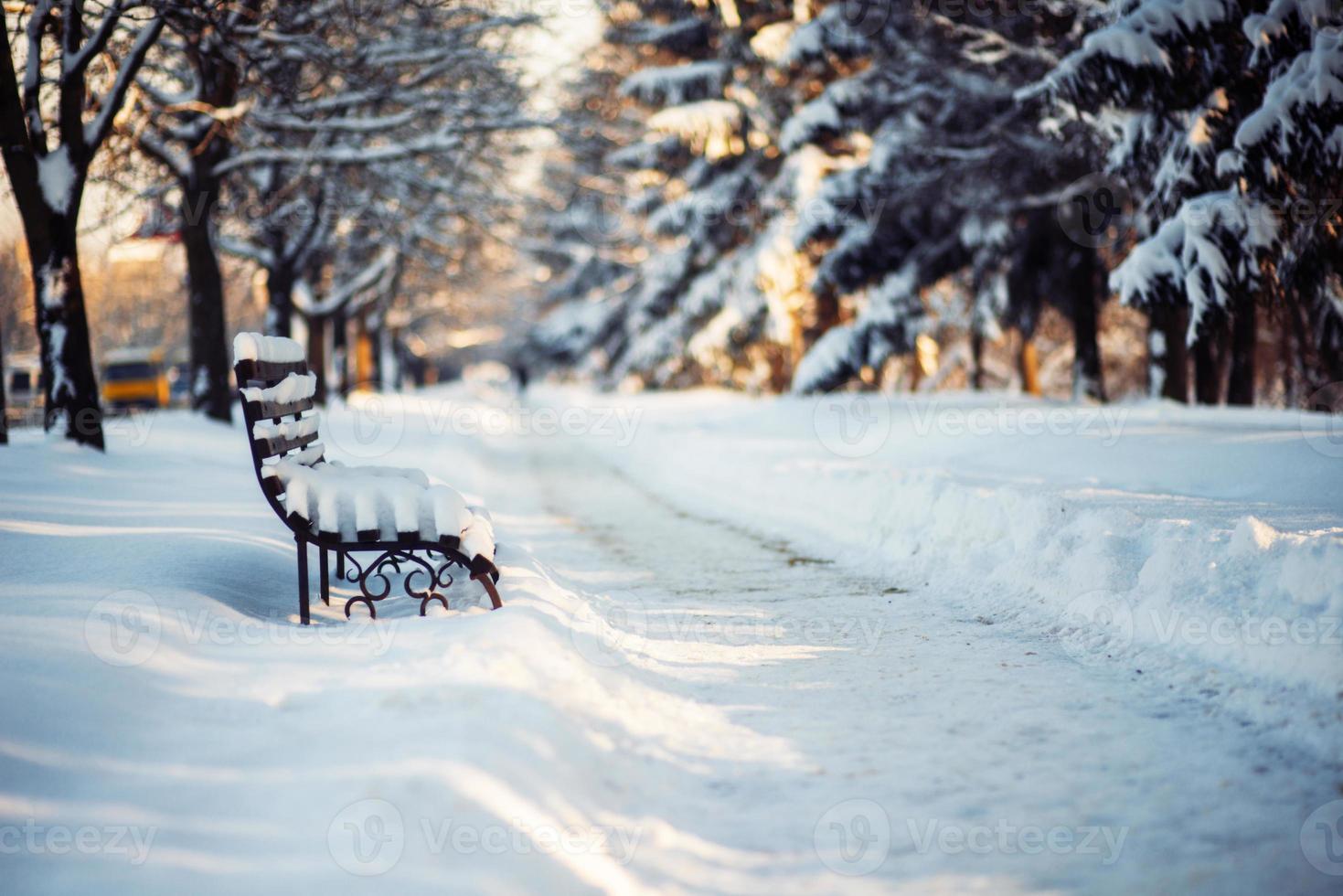 winter park in snow photo