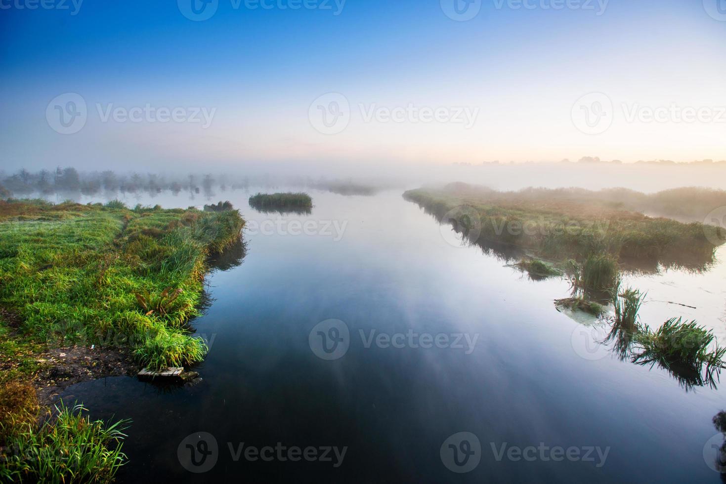 zona pantanosa misteriosa foto