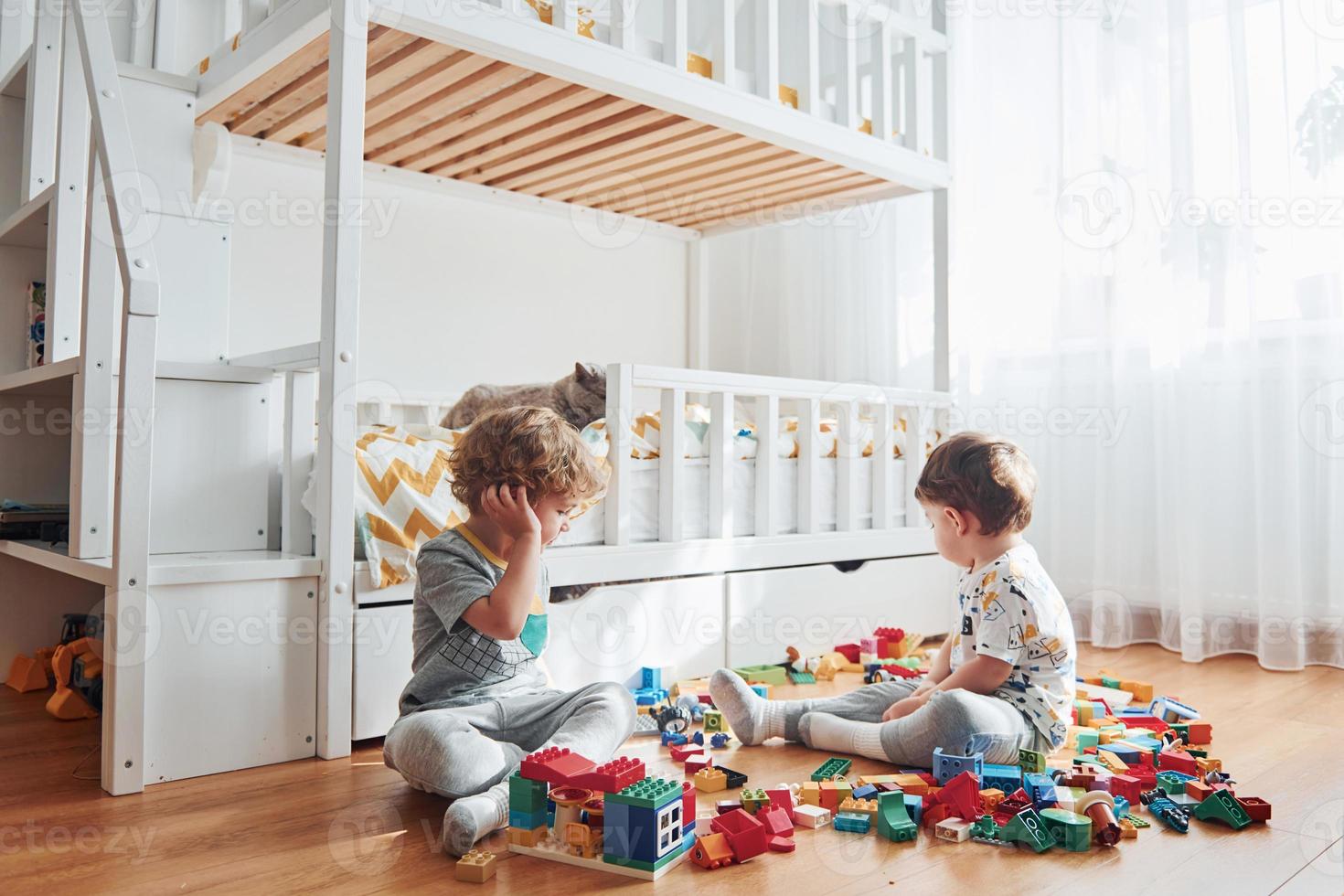 Two little boys have fun indoors in the bedroom with plastic construction set. Cat sits behind them photo