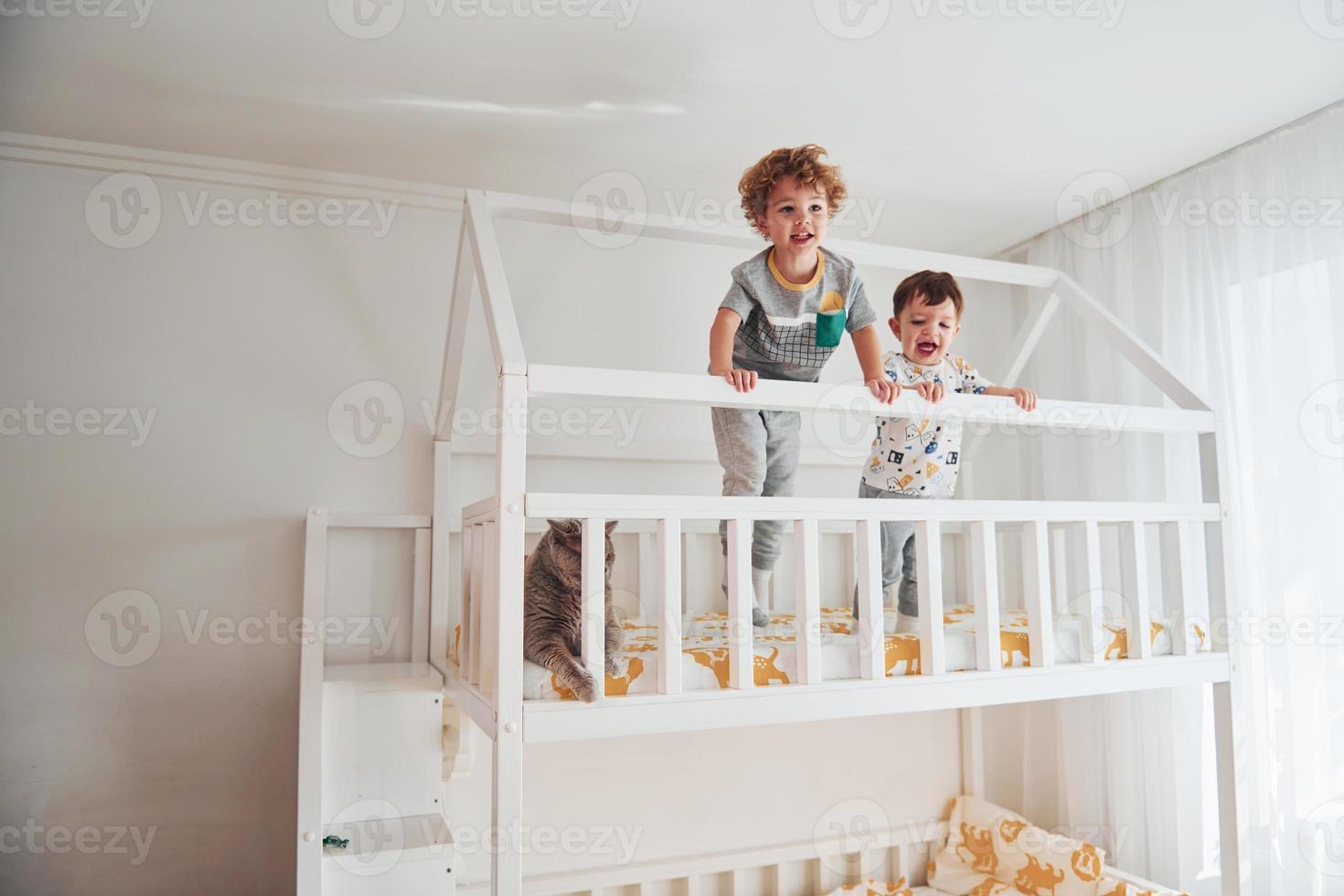 Two little boys resting and have fun indoors in the bedroom together. Cat sitting near them photo