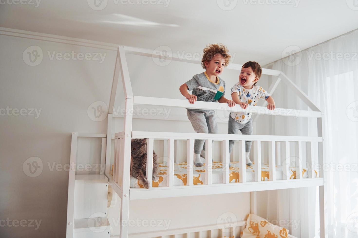 Two little boys resting and have fun indoors in the bedroom together. Cat sitting near them photo